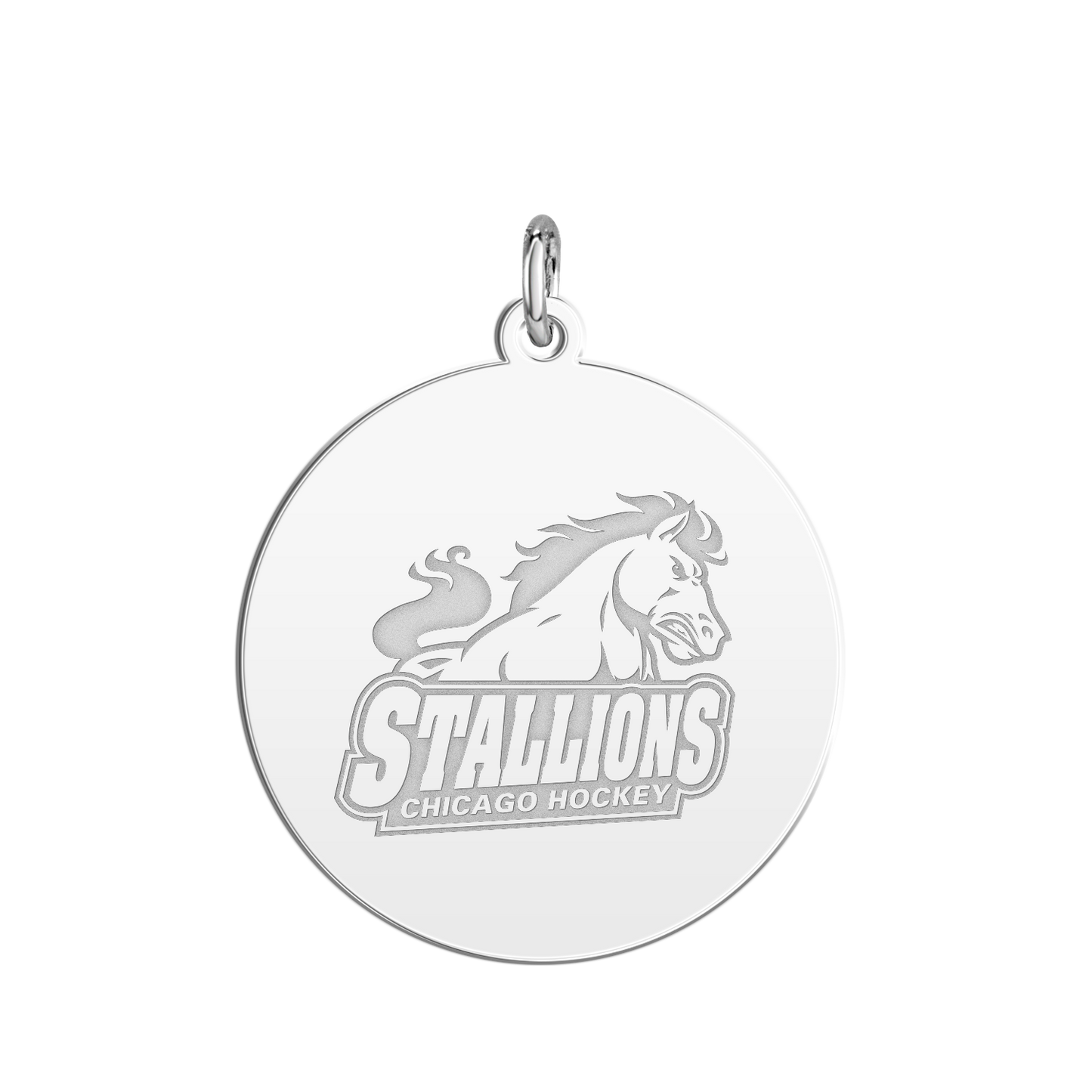 Chicago Stallions Signature Disc Large