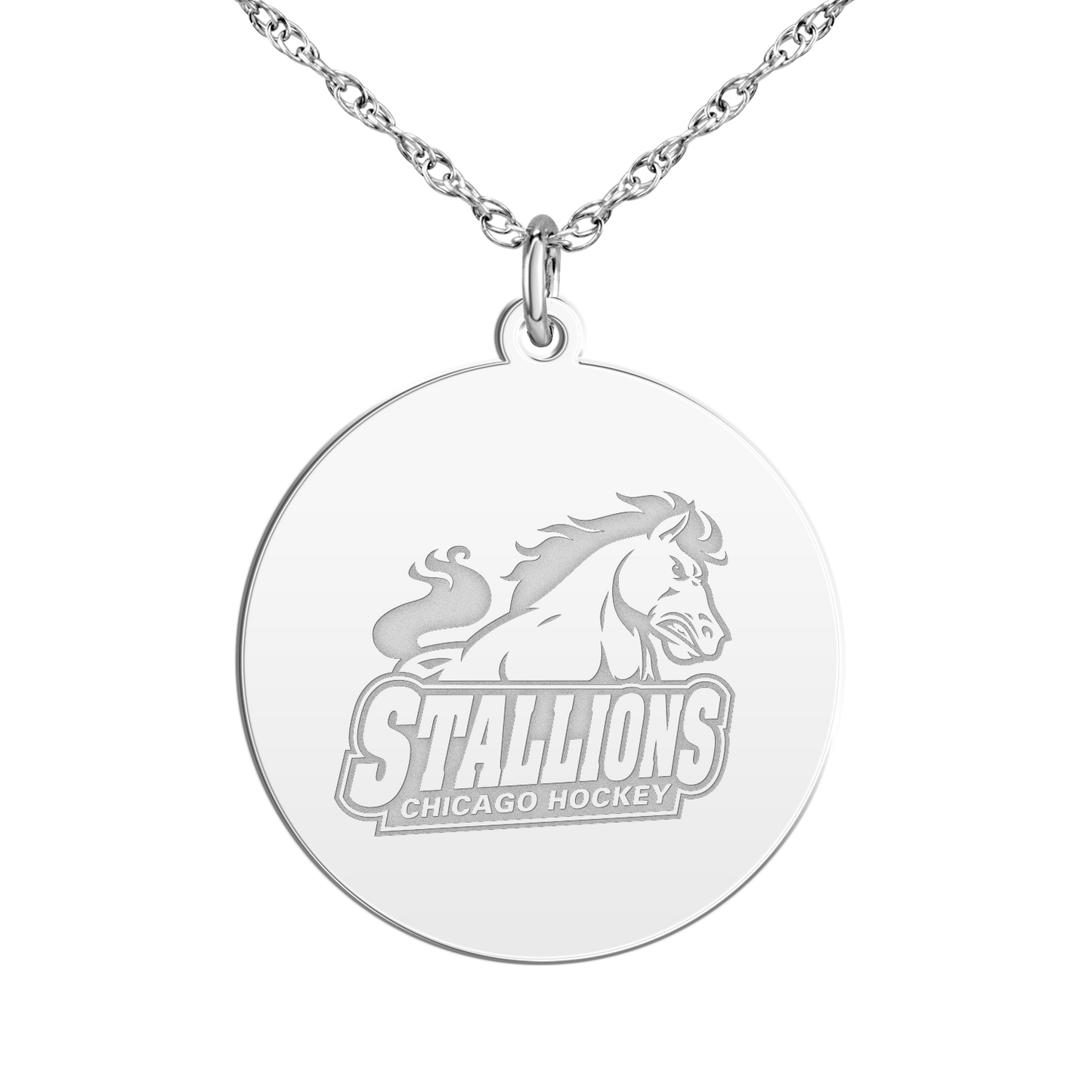 Chicago Stallions Signature Disc Large