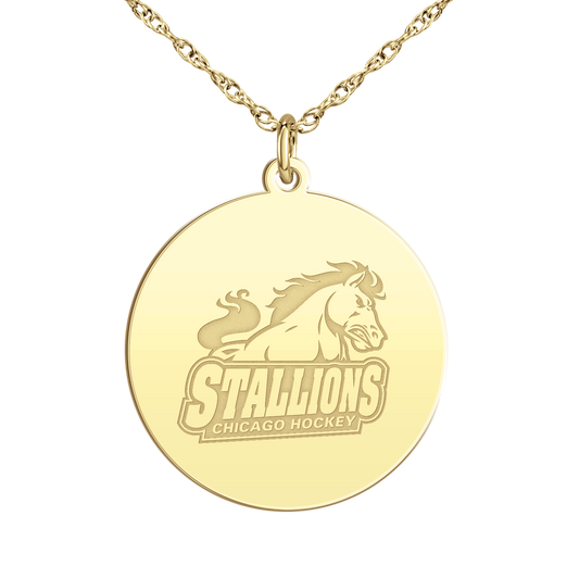 Chicago Stallions Signature Disc Large