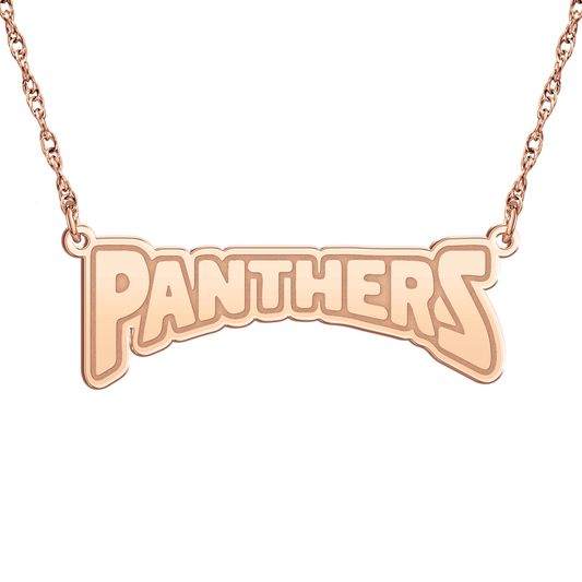 Regina Dominican GO Panthers Nameplate
