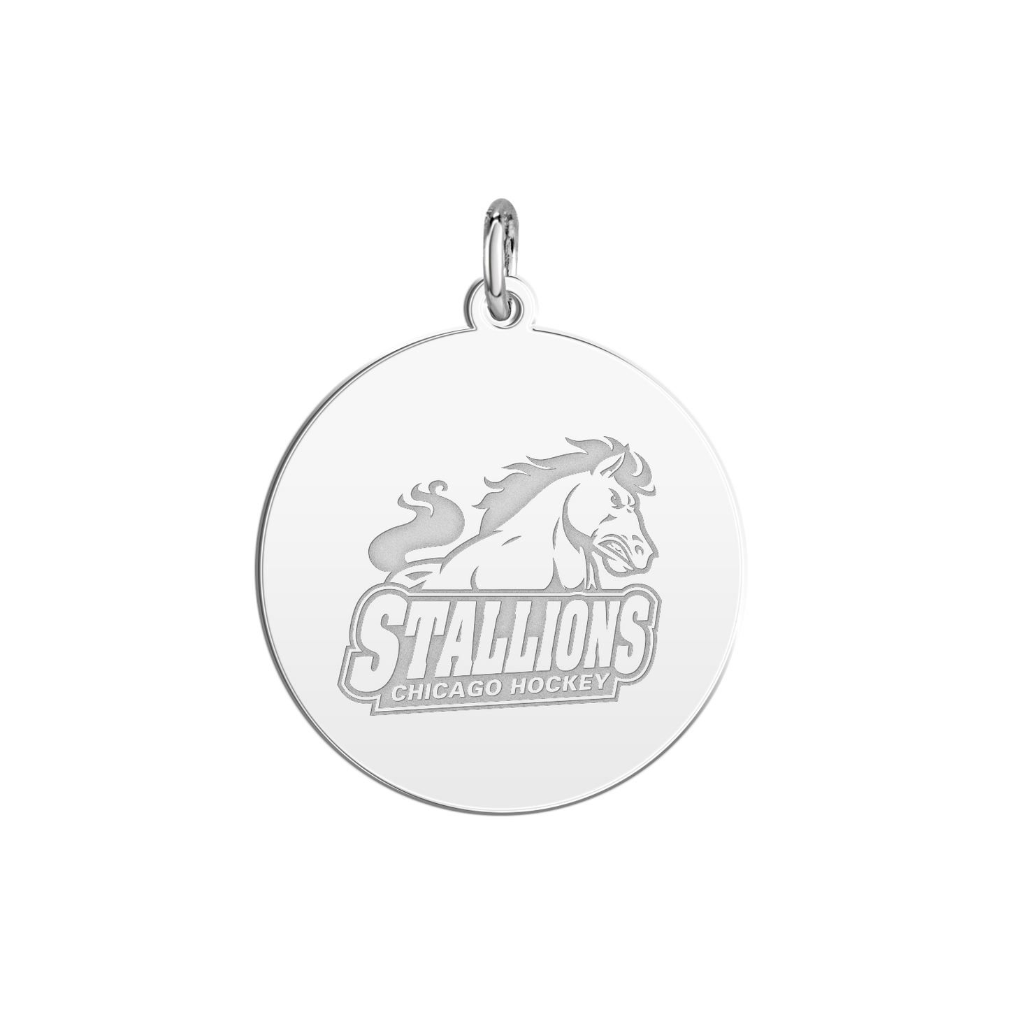 Chicago Stallions Signature Disc Small