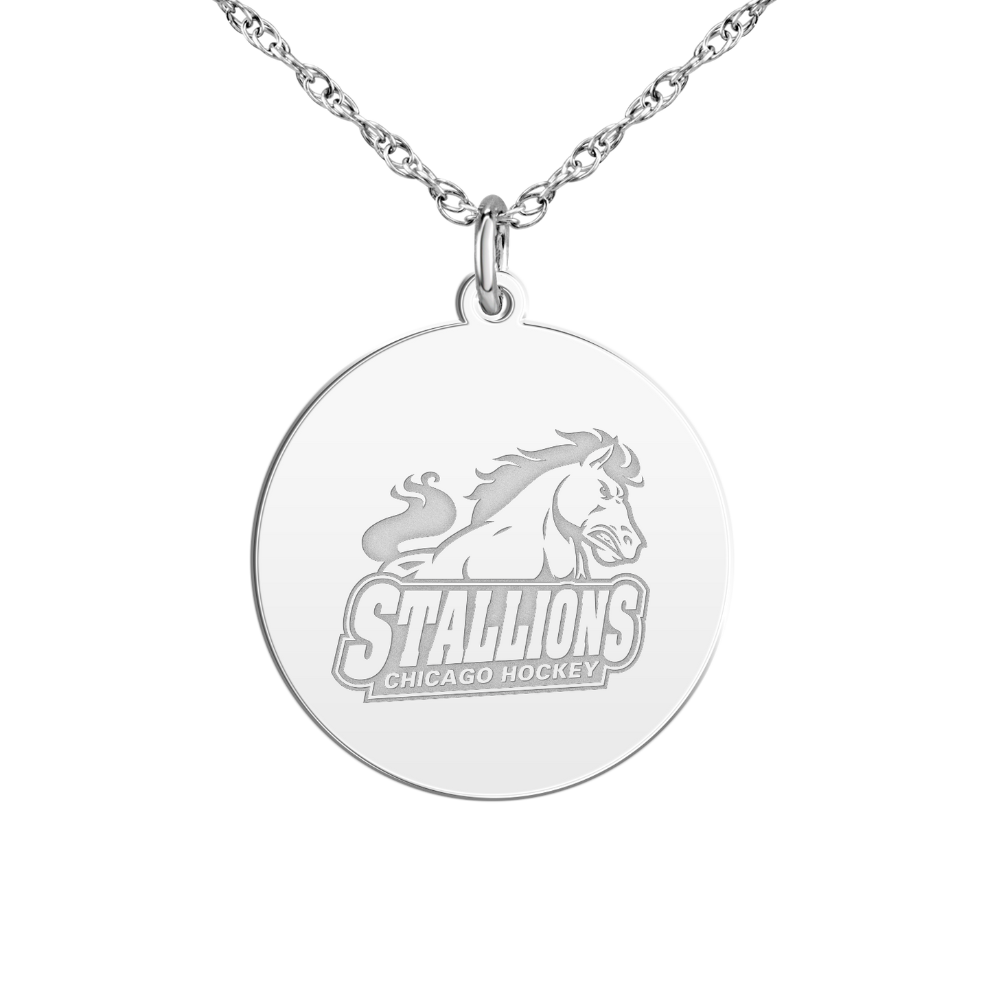 Chicago Stallions Signature Disc Small