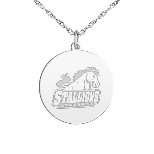 Chicago Stallions Signature Disc Small