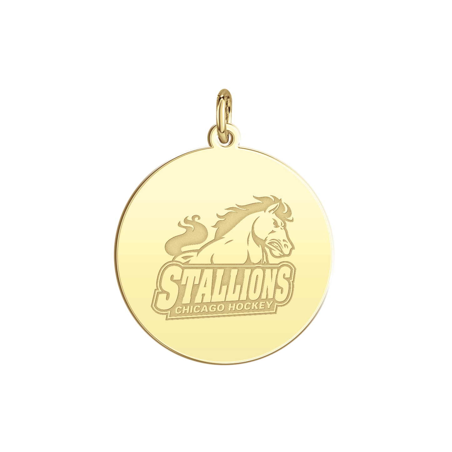 Chicago Stallions Signature Disc Small