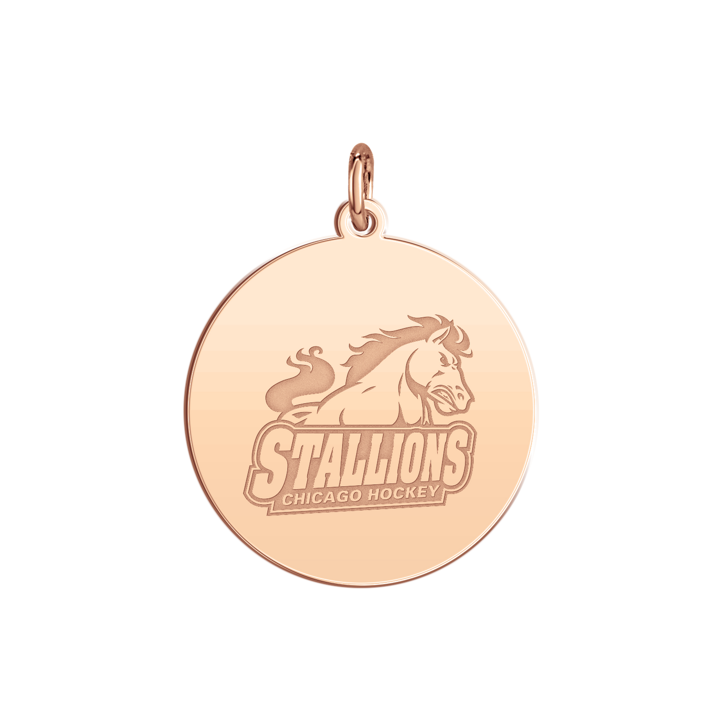 Chicago Stallions Signature Disc Small