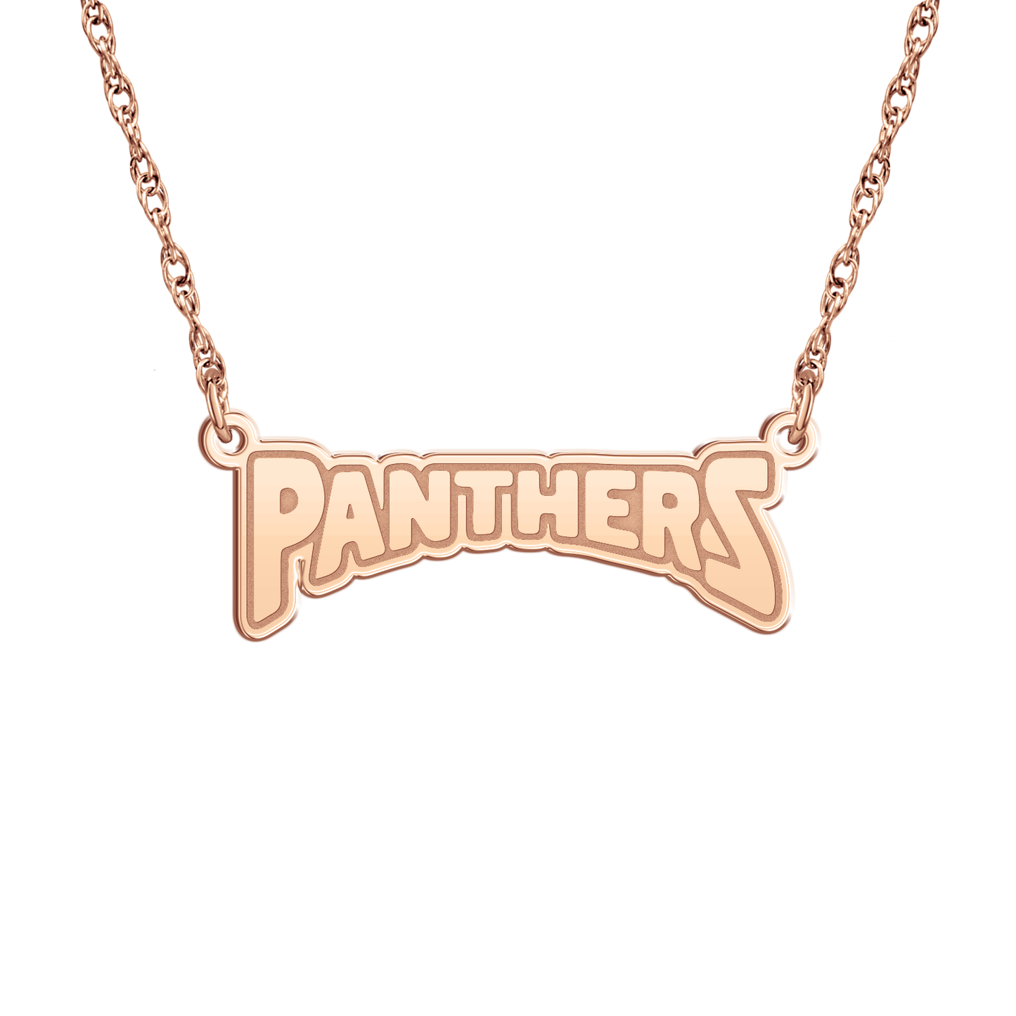 Regina Dominican GO Panthers Mini Nameplate