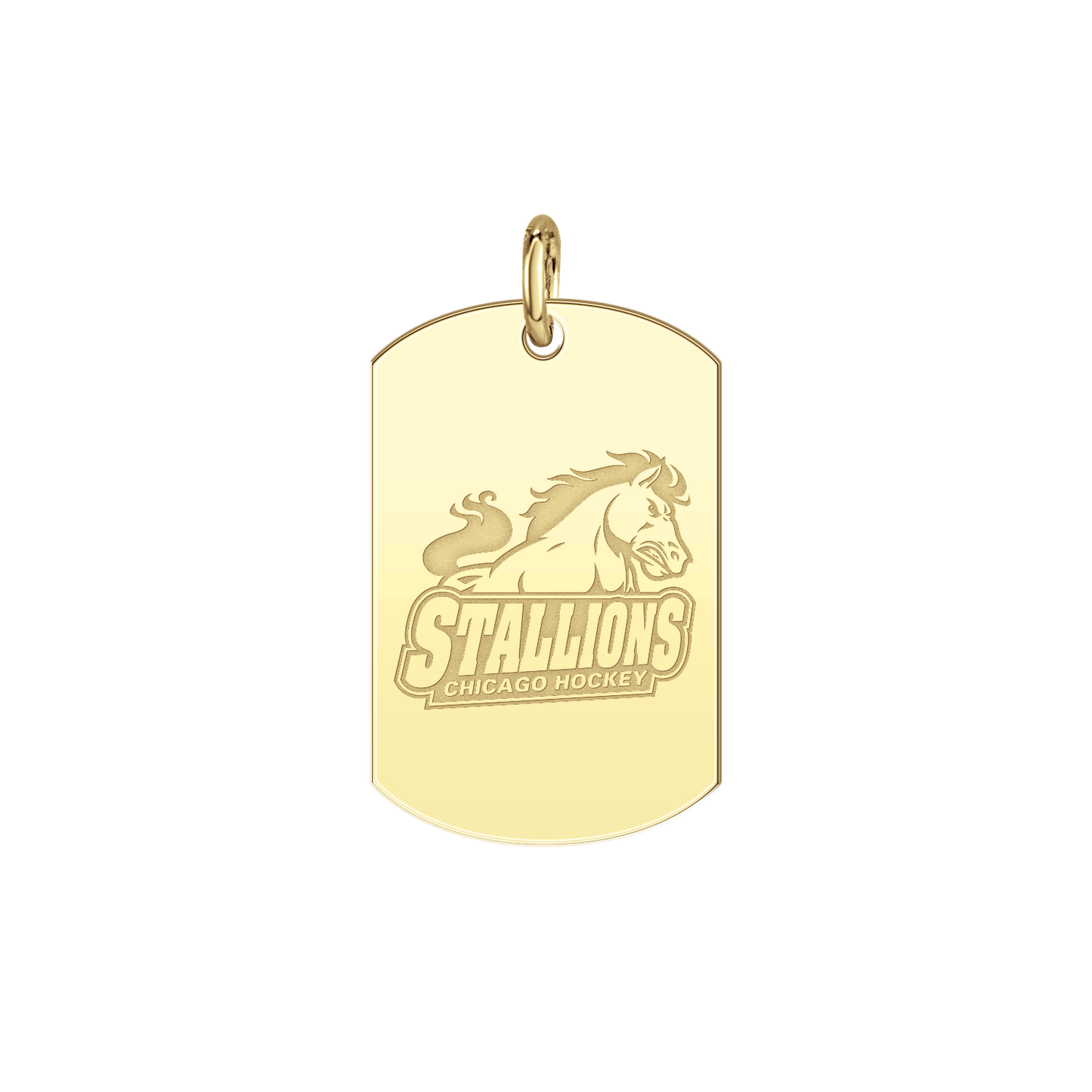 Chicago Stallions Signature Tag Small