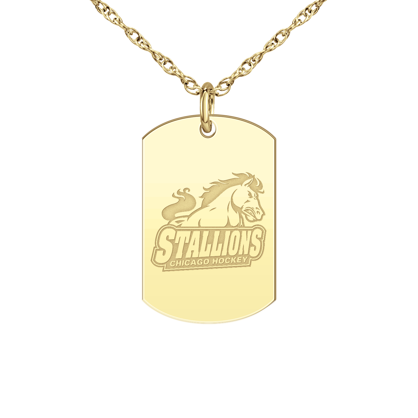 Chicago Stallions Signature Tag Small