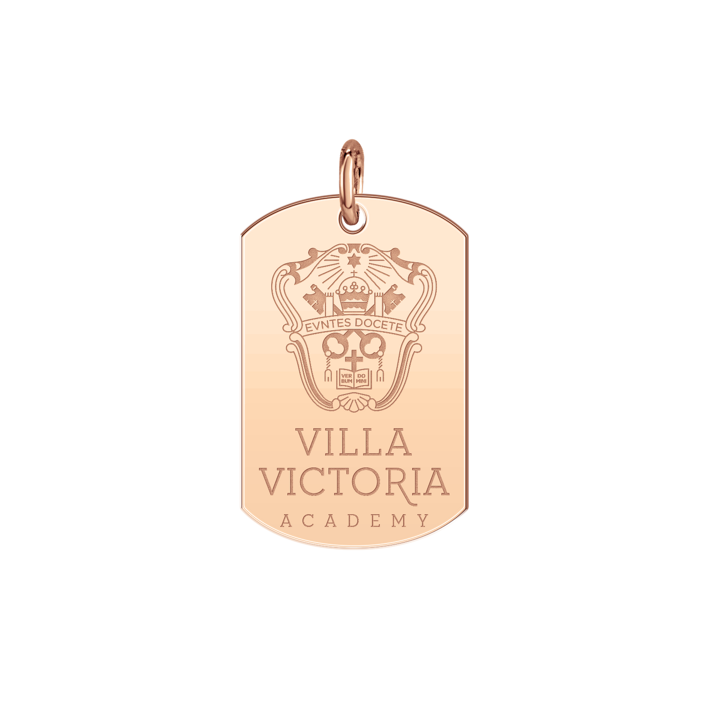 Villa Victoria Academy Tag