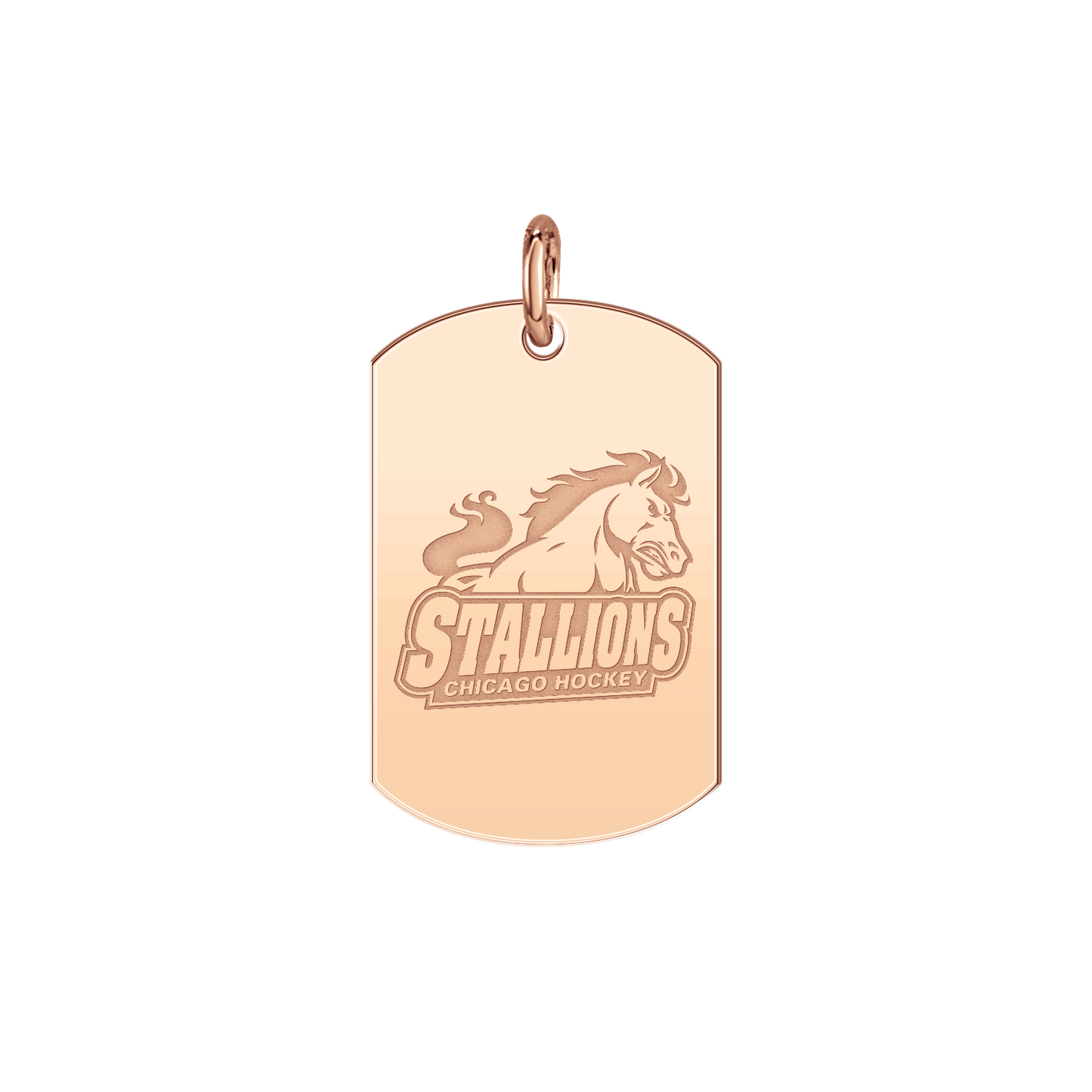 Chicago Stallions Signature Tag Small