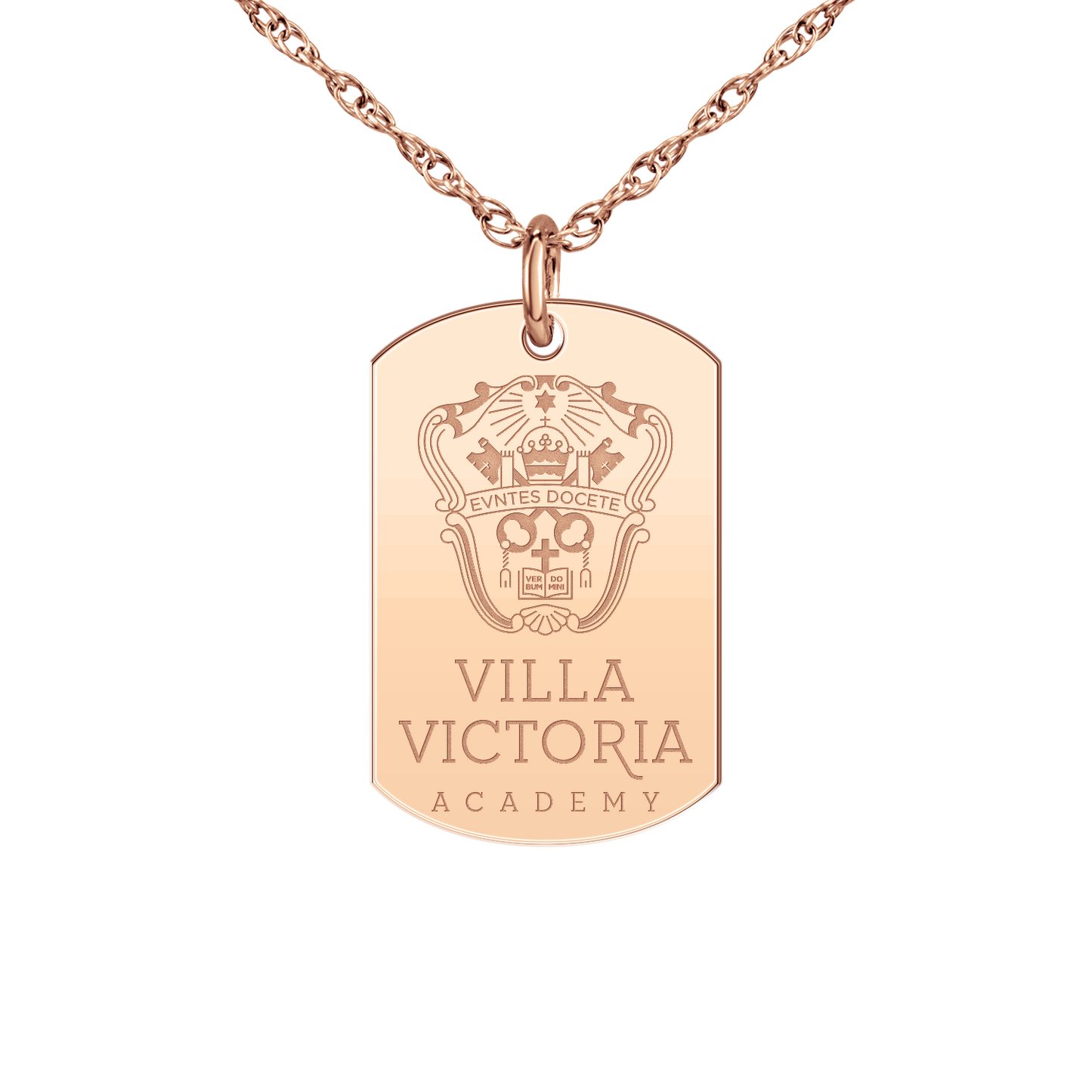 Villa Victoria Academy Tag