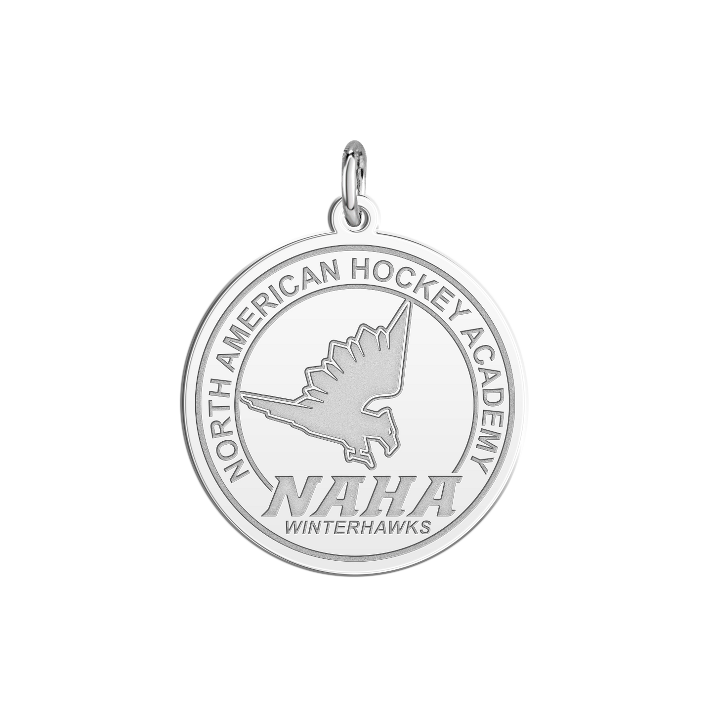 NAHA Logo Disc Small