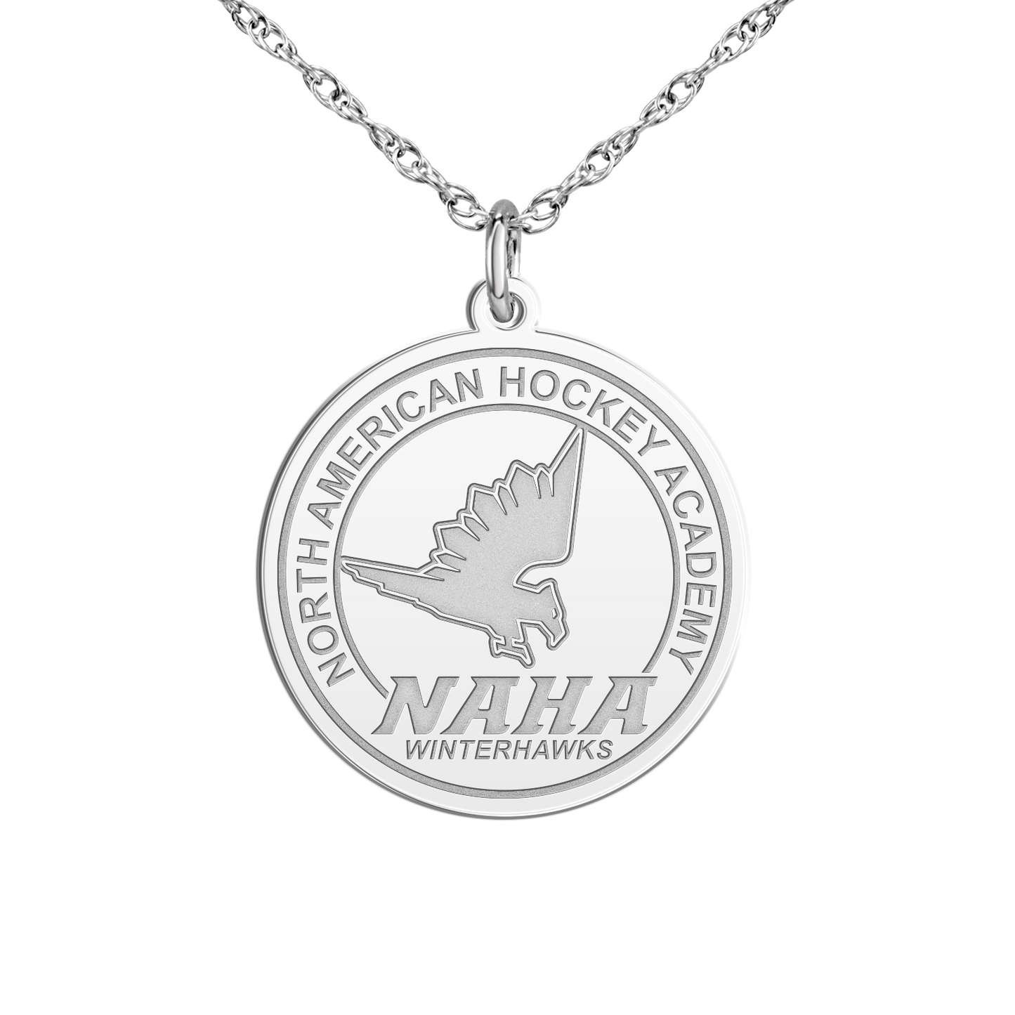 NAHA Logo Disc Small