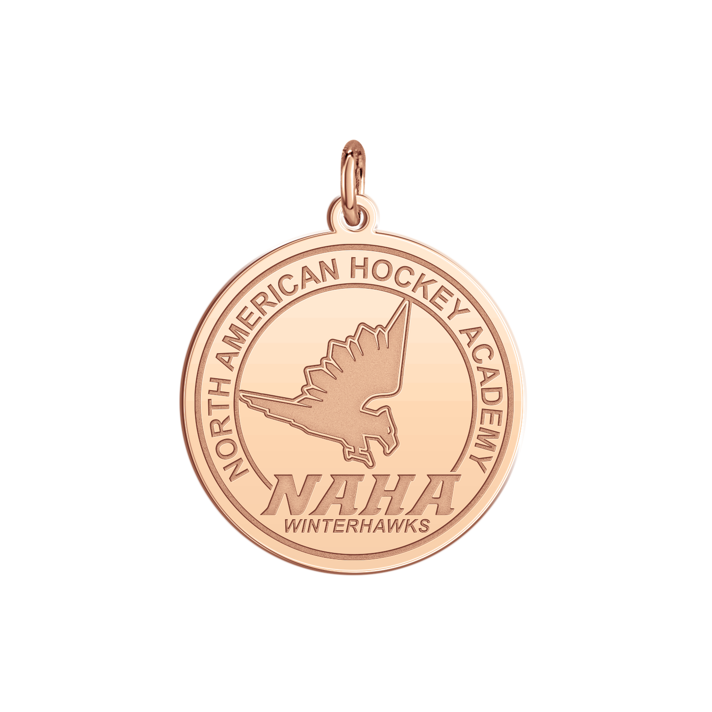 NAHA Logo Disc Small