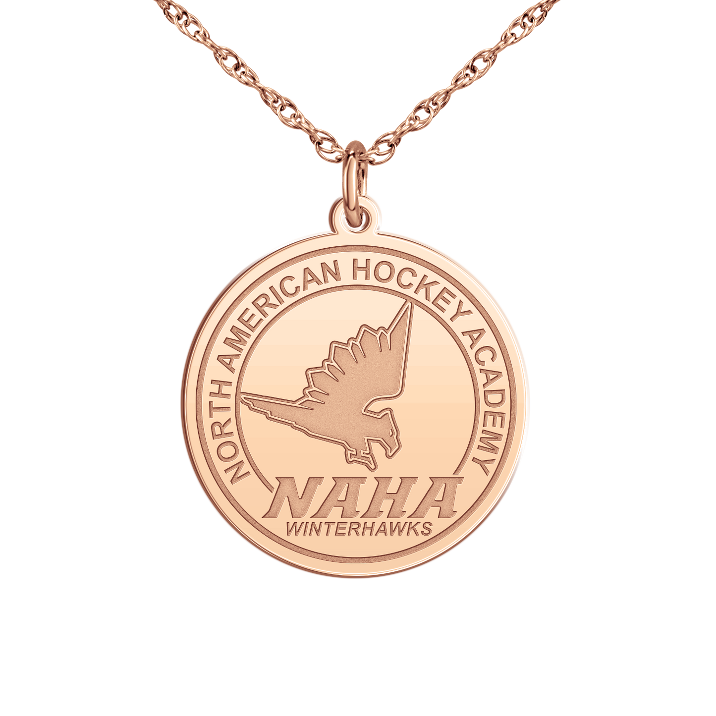 NAHA Logo Disc Small