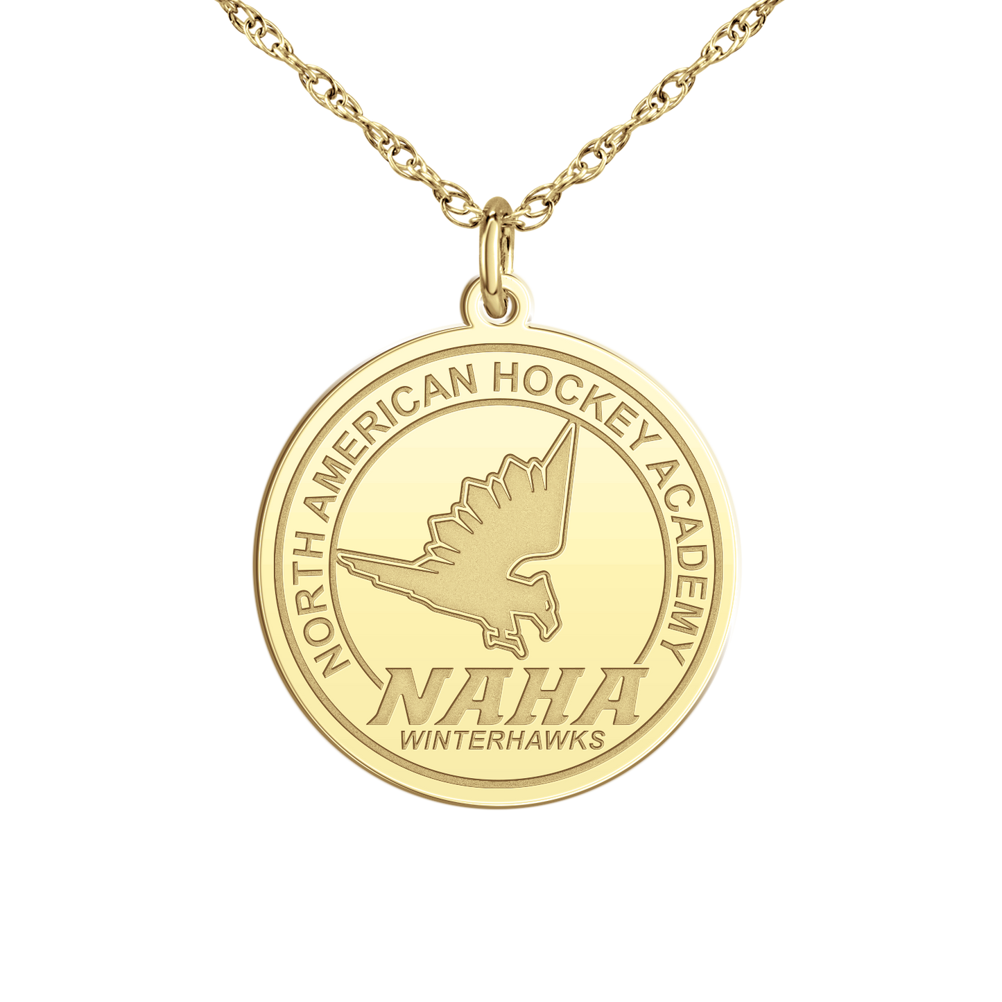 NAHA Logo Disc Small