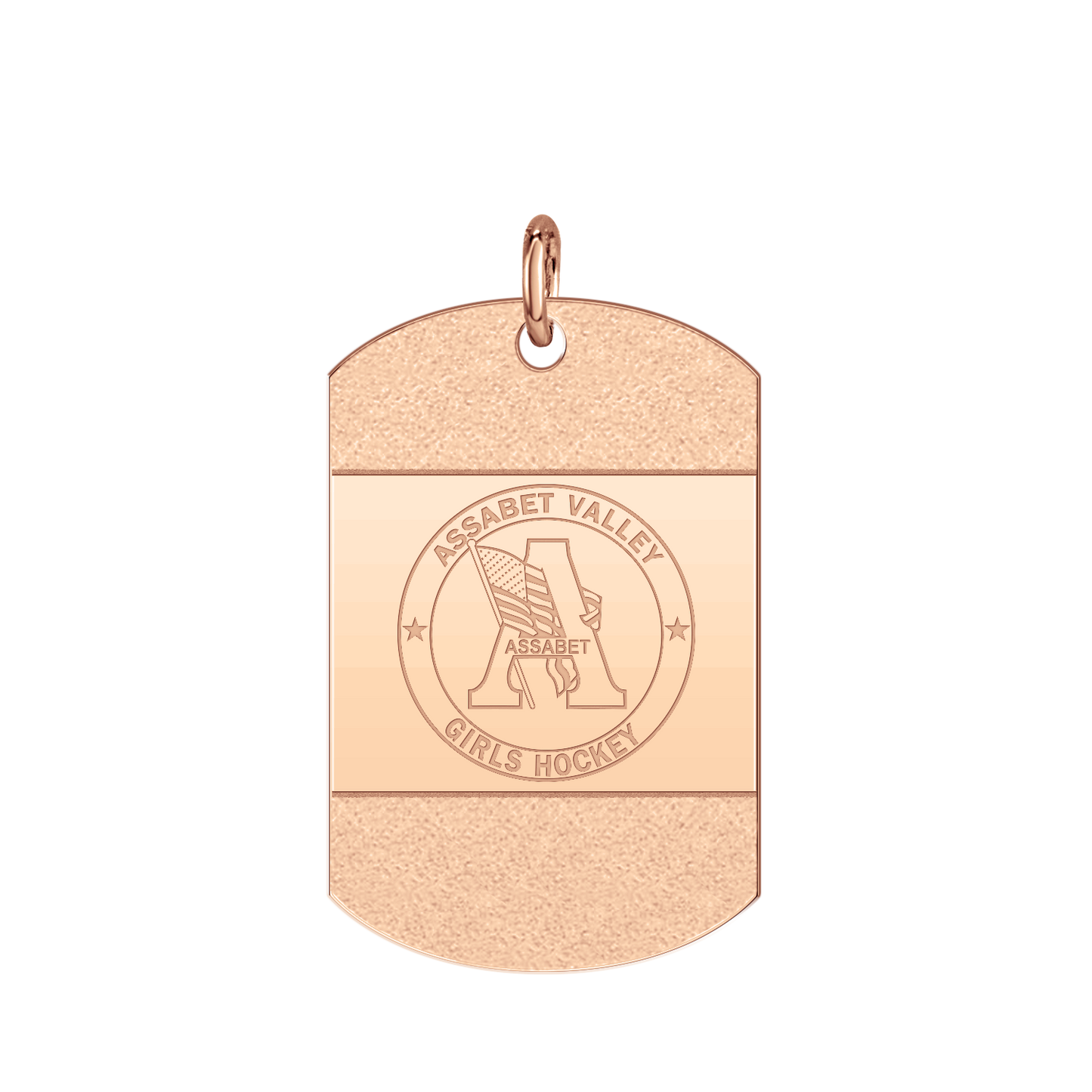 Assabet Valley ICED Signature Tag Large
