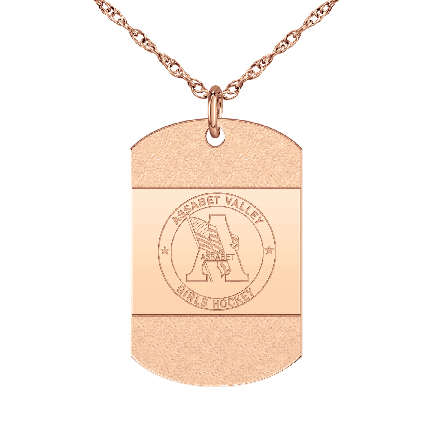 Assabet Valley ICED Signature Tag Large