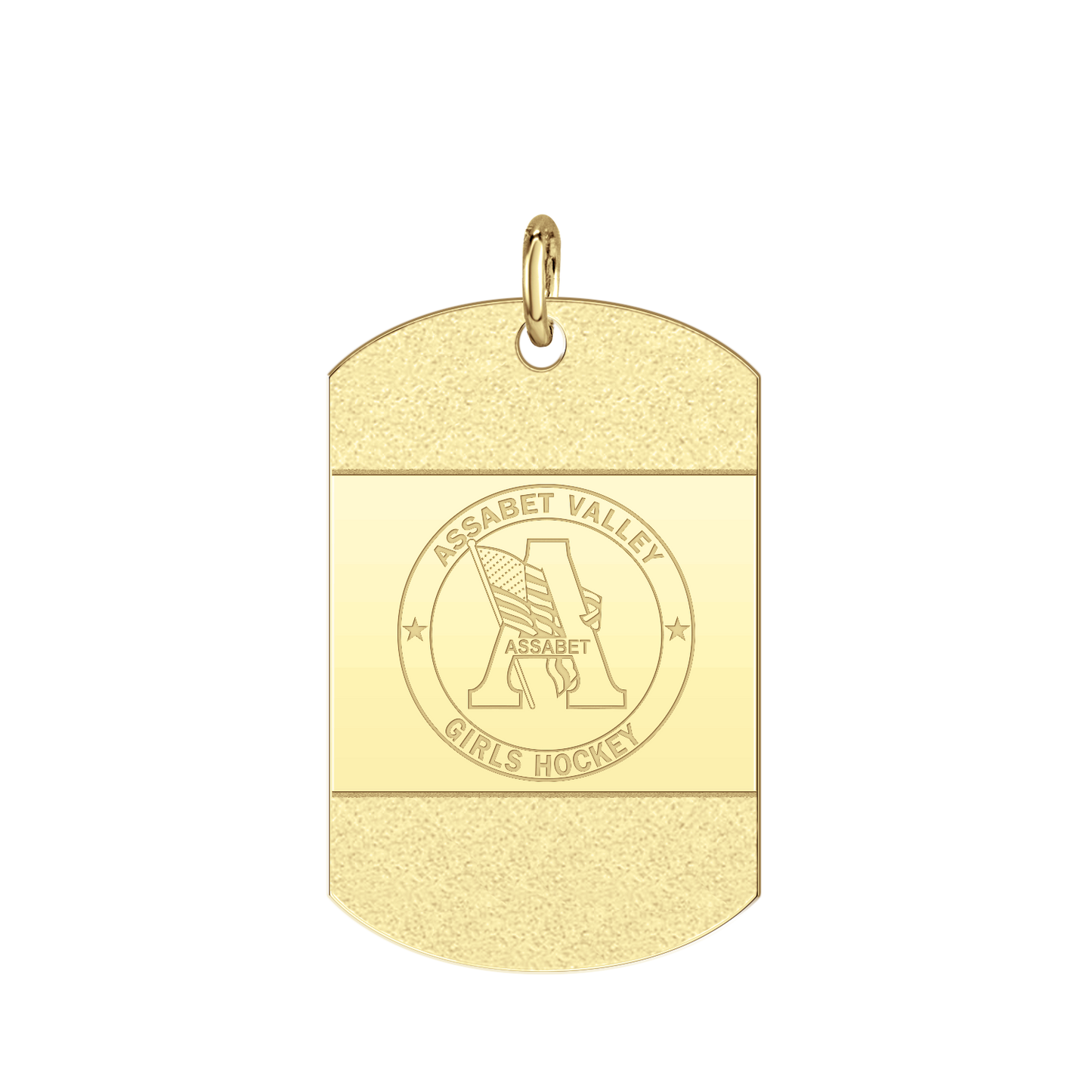 Assabet Valley ICED Signature Tag Large