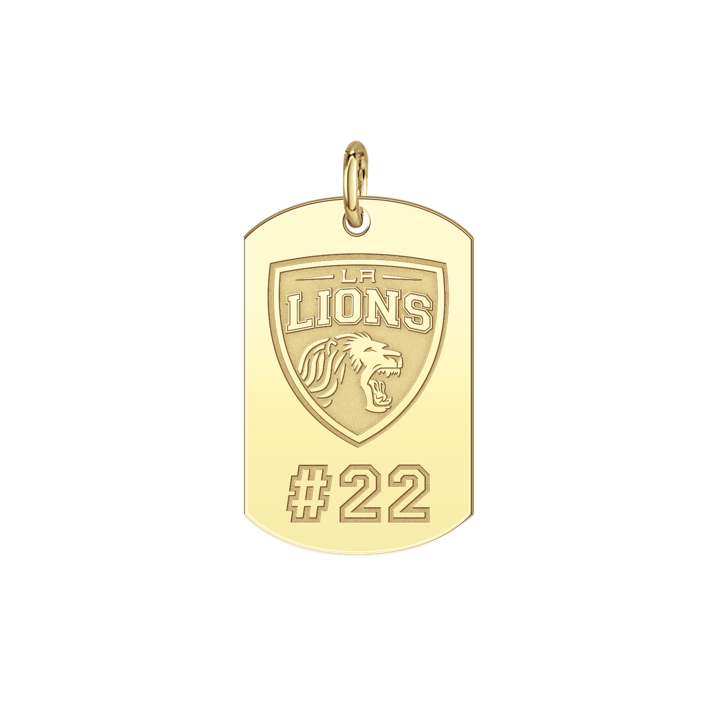LA Lions Players Tag Small