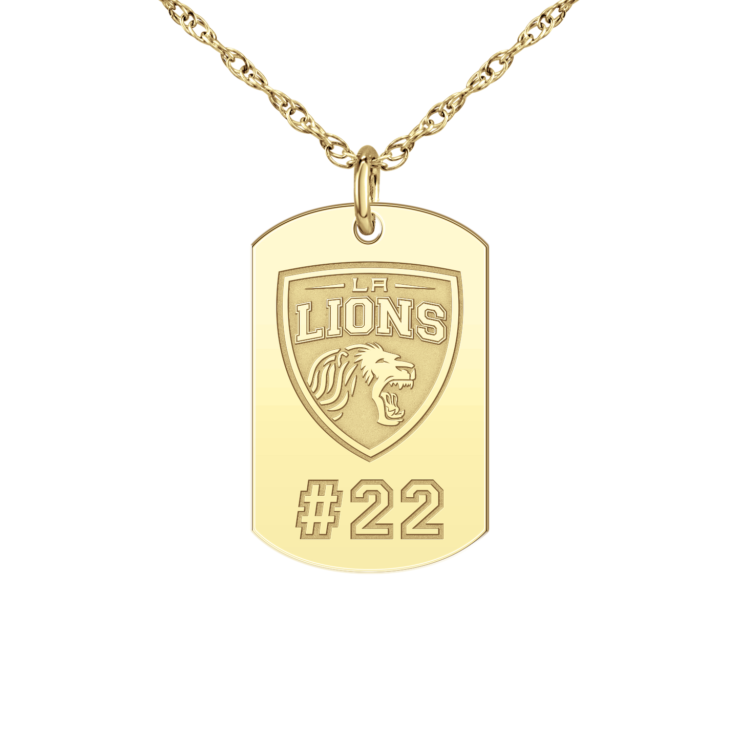 LA Lions Players Tag Small