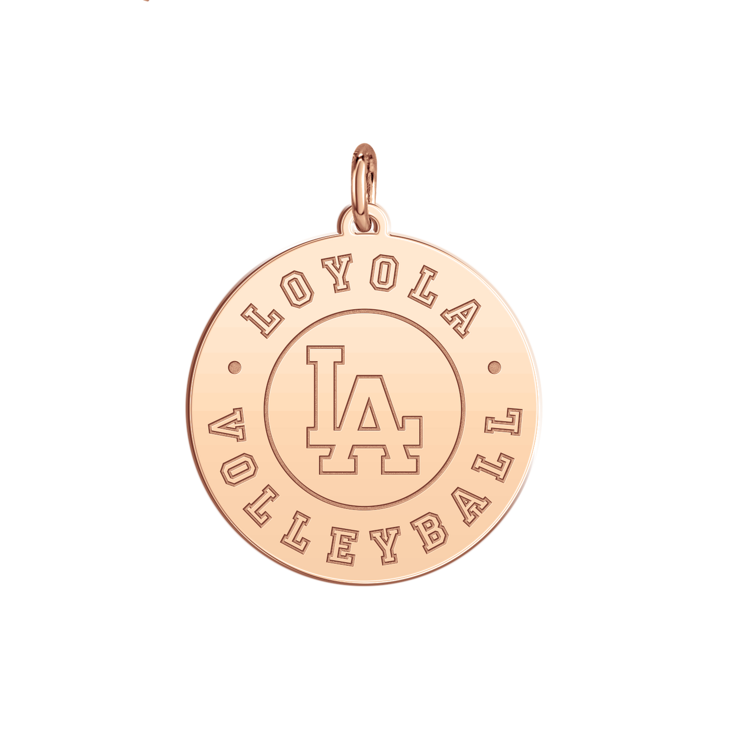 Loyola Academy Volleyball Disc