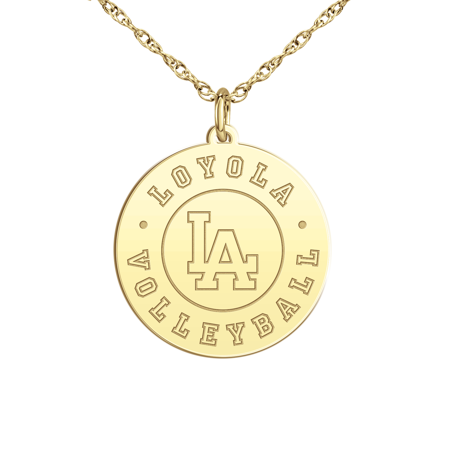 Loyola Academy Volleyball Disc
