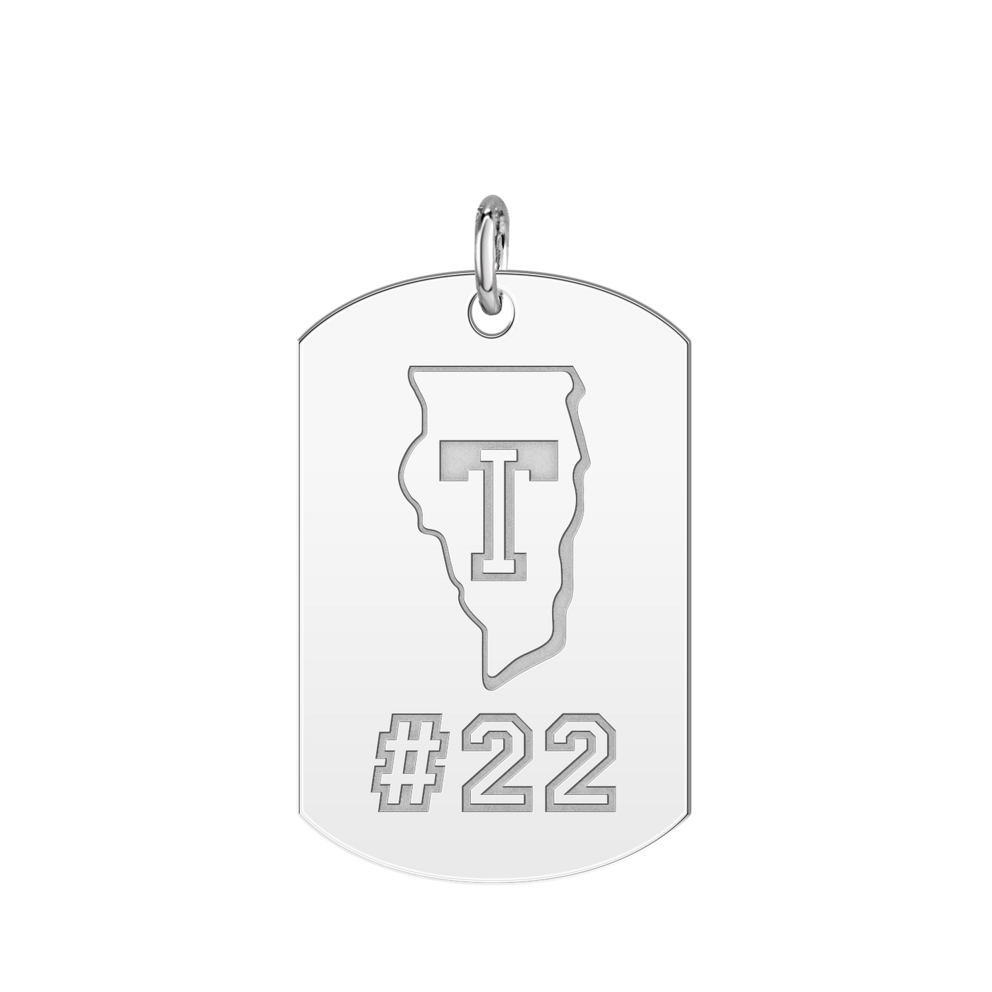 Team Illinois Players Tag Large