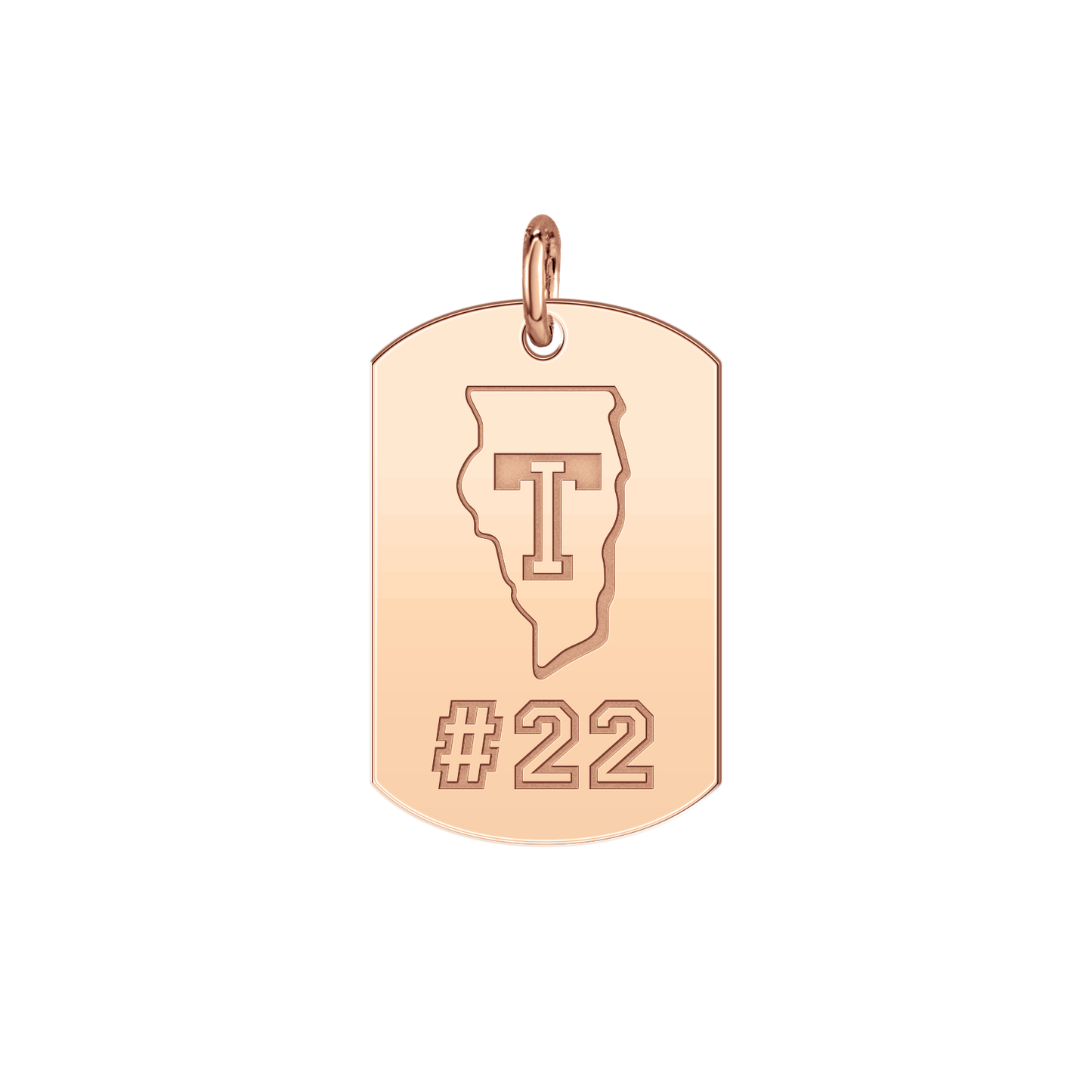 Team Illinois Players Tag Small