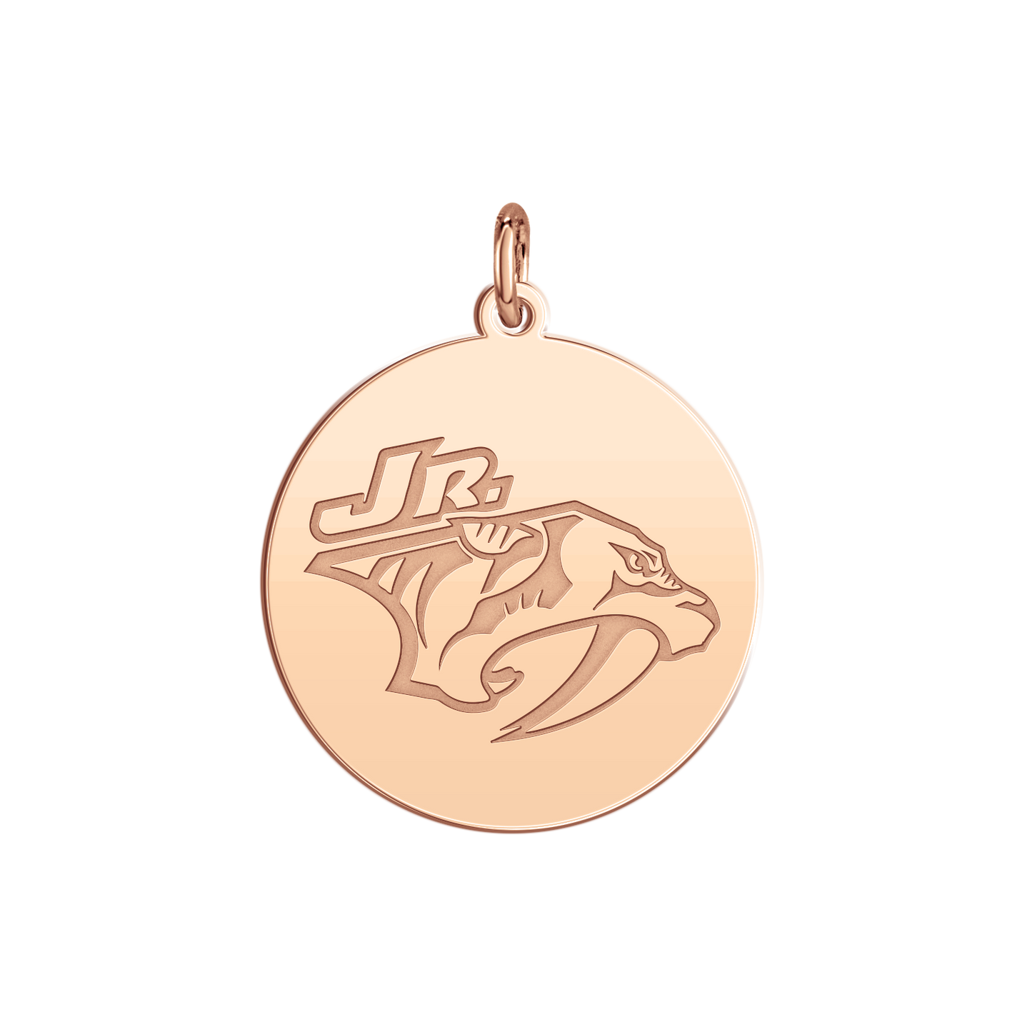 Nashville Jr Predators Logo Disc Small