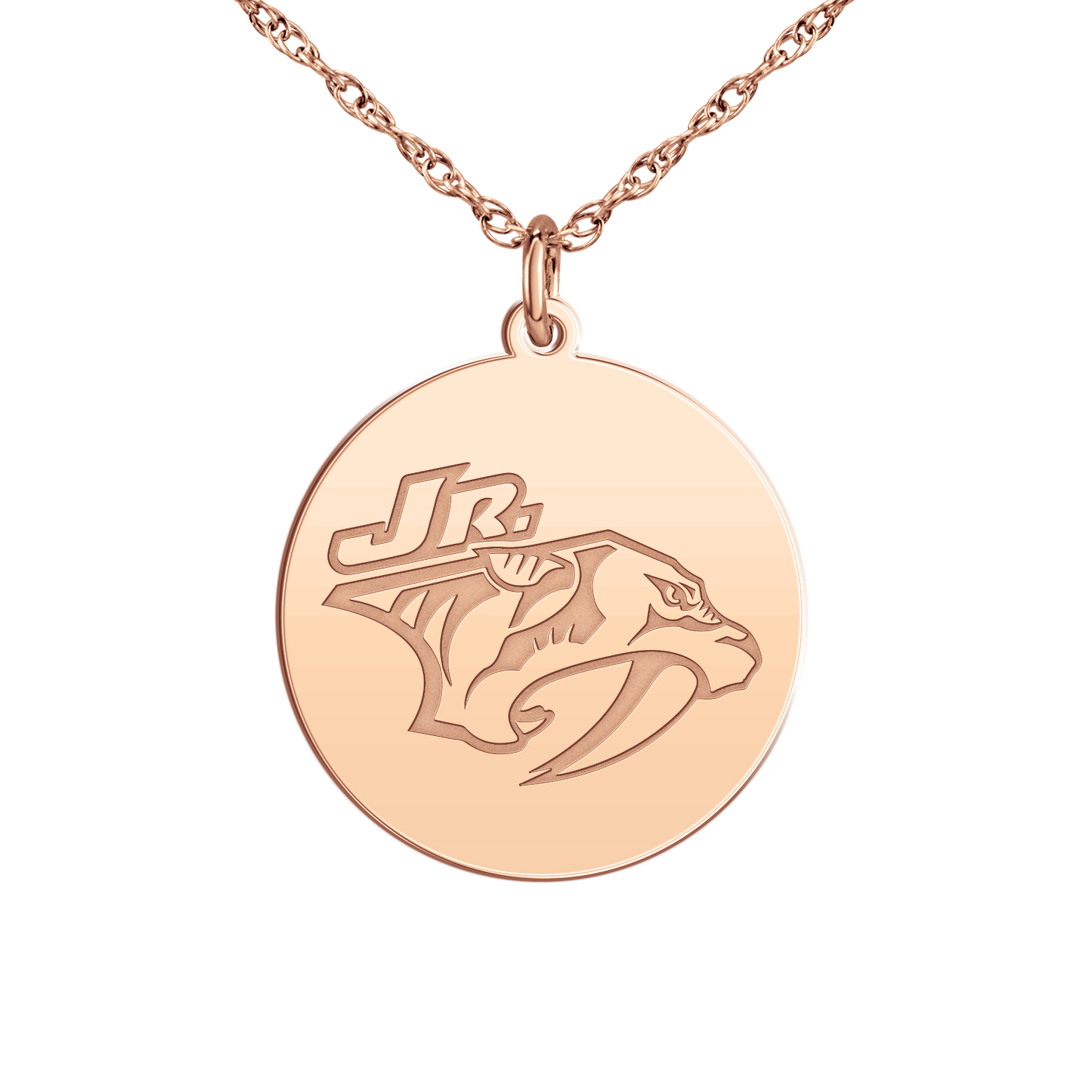 Nashville Jr Predators Logo Disc Small