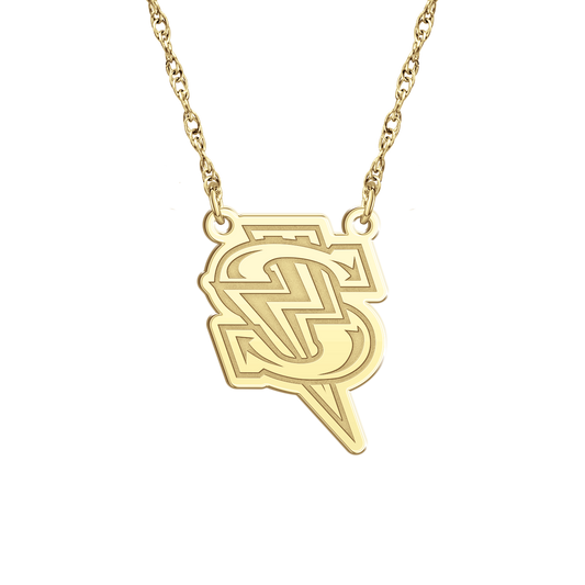 Windy City Storm Bolt Signature Logo