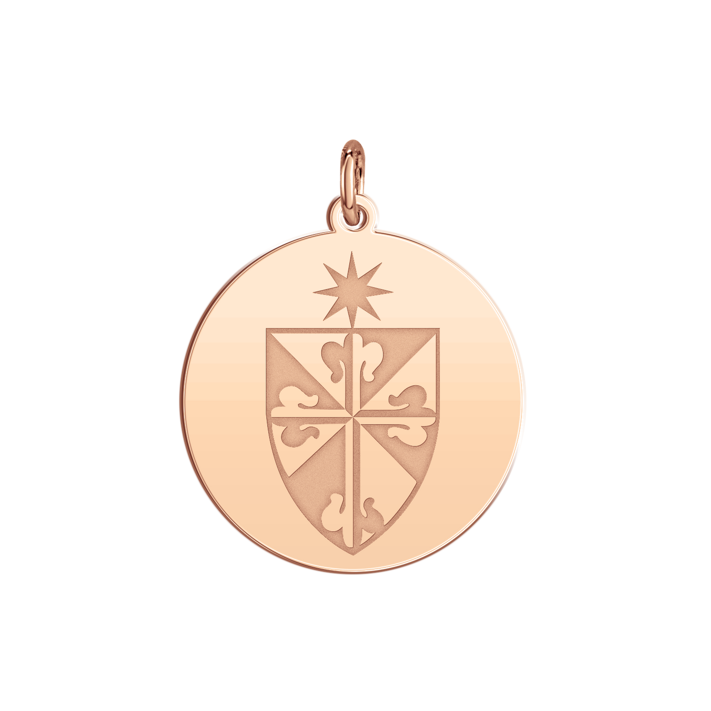 Fenwick Signature Disc Small