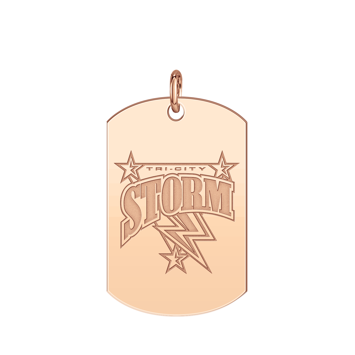 Windy City Storm Logo Tag Large