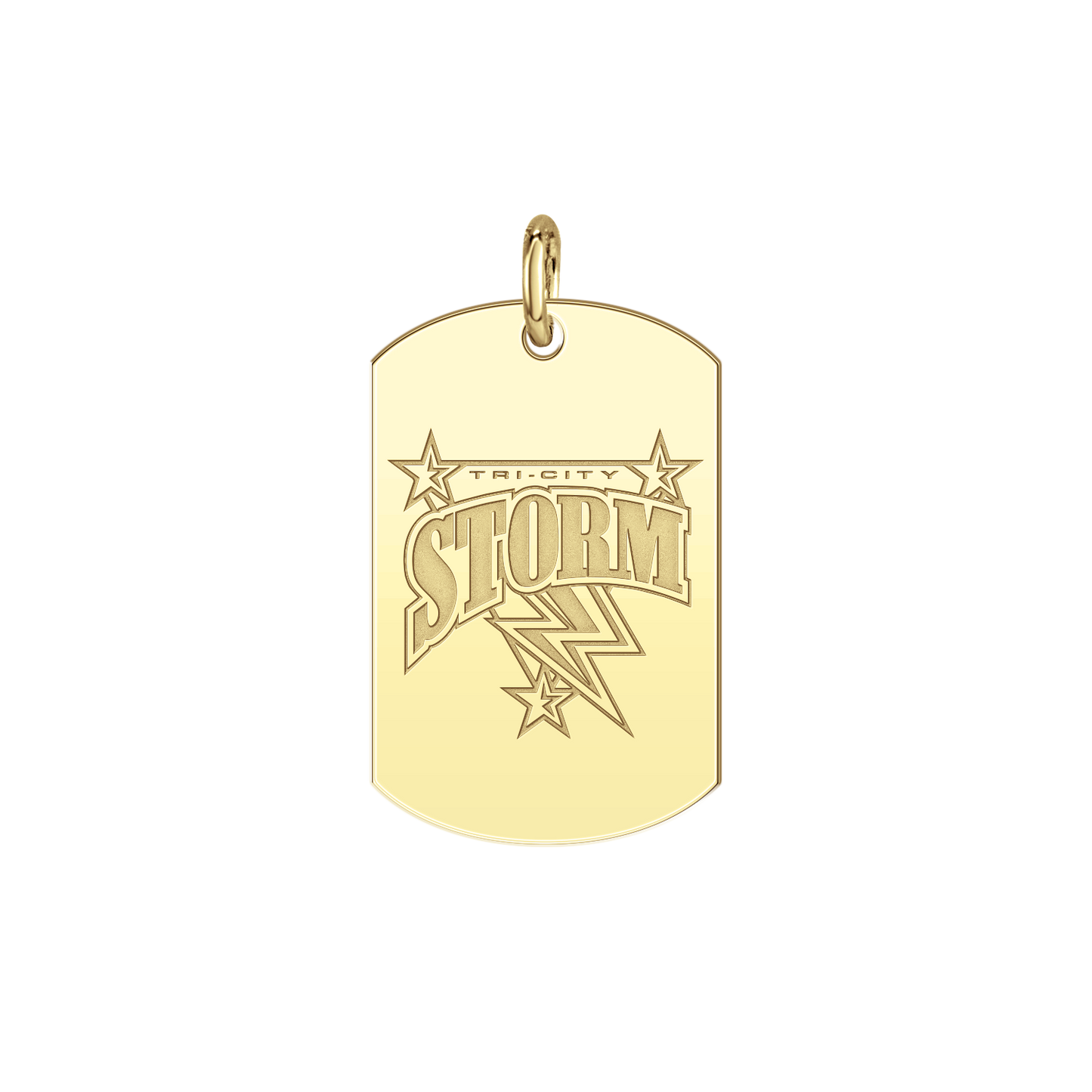 Windy City Storm Logo Tag Small