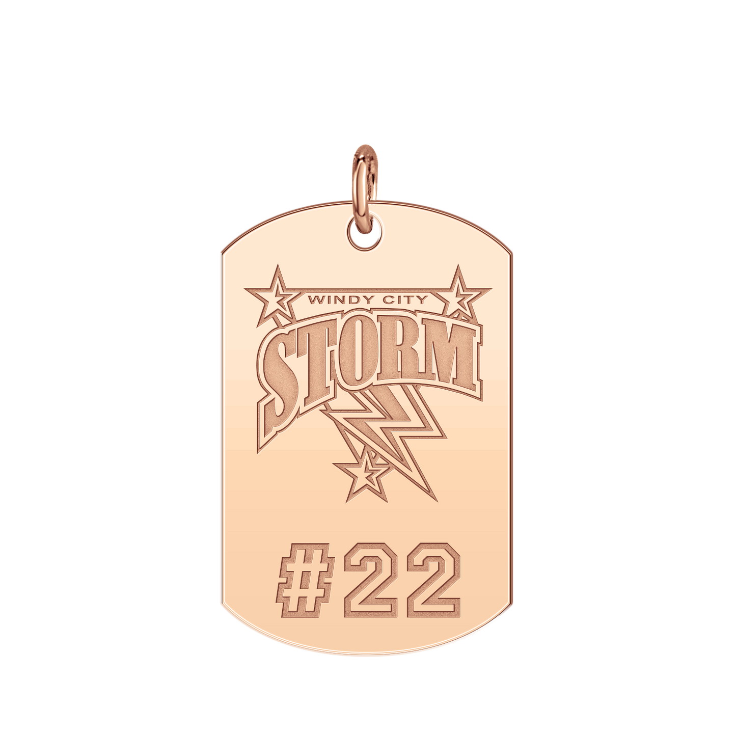 Windy City Storm Players Tag Large