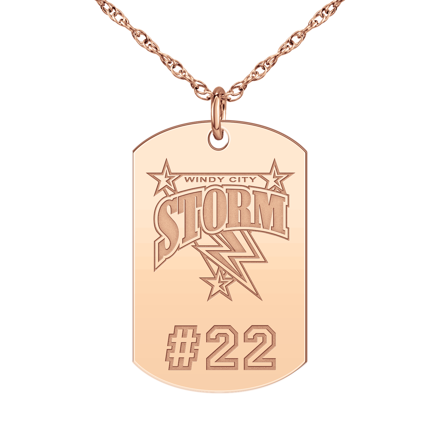 Windy City Storm Players Tag Large