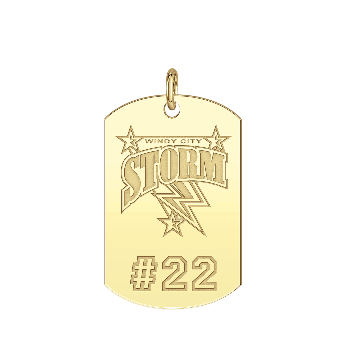 Windy City Storm Players Tag Large