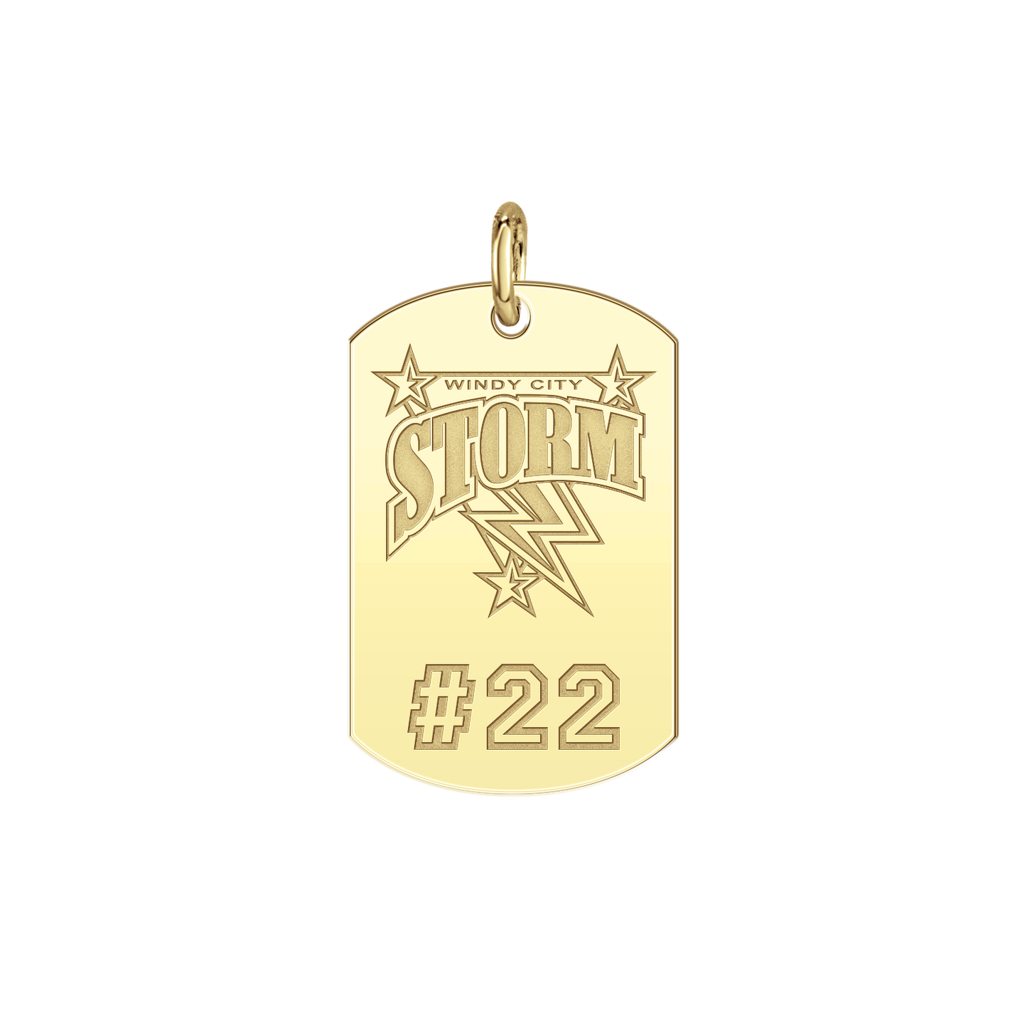 Windy City Storm Players Tag Small