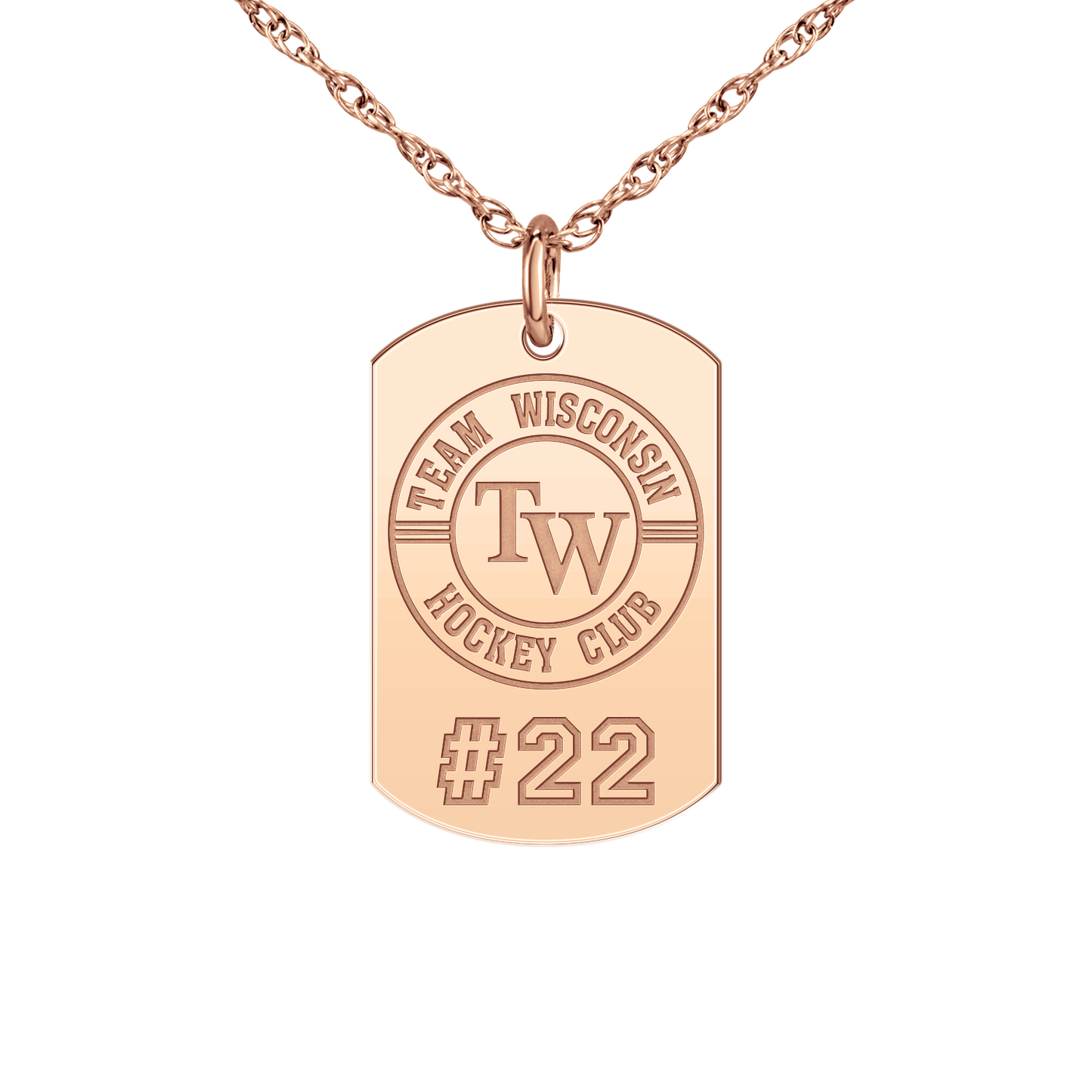 Team Wisconsin Players Tag Small