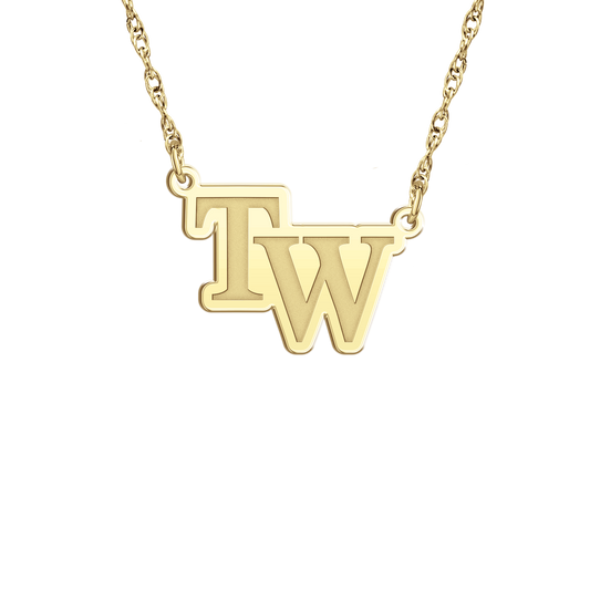 Team Wisconsin Signature Logo