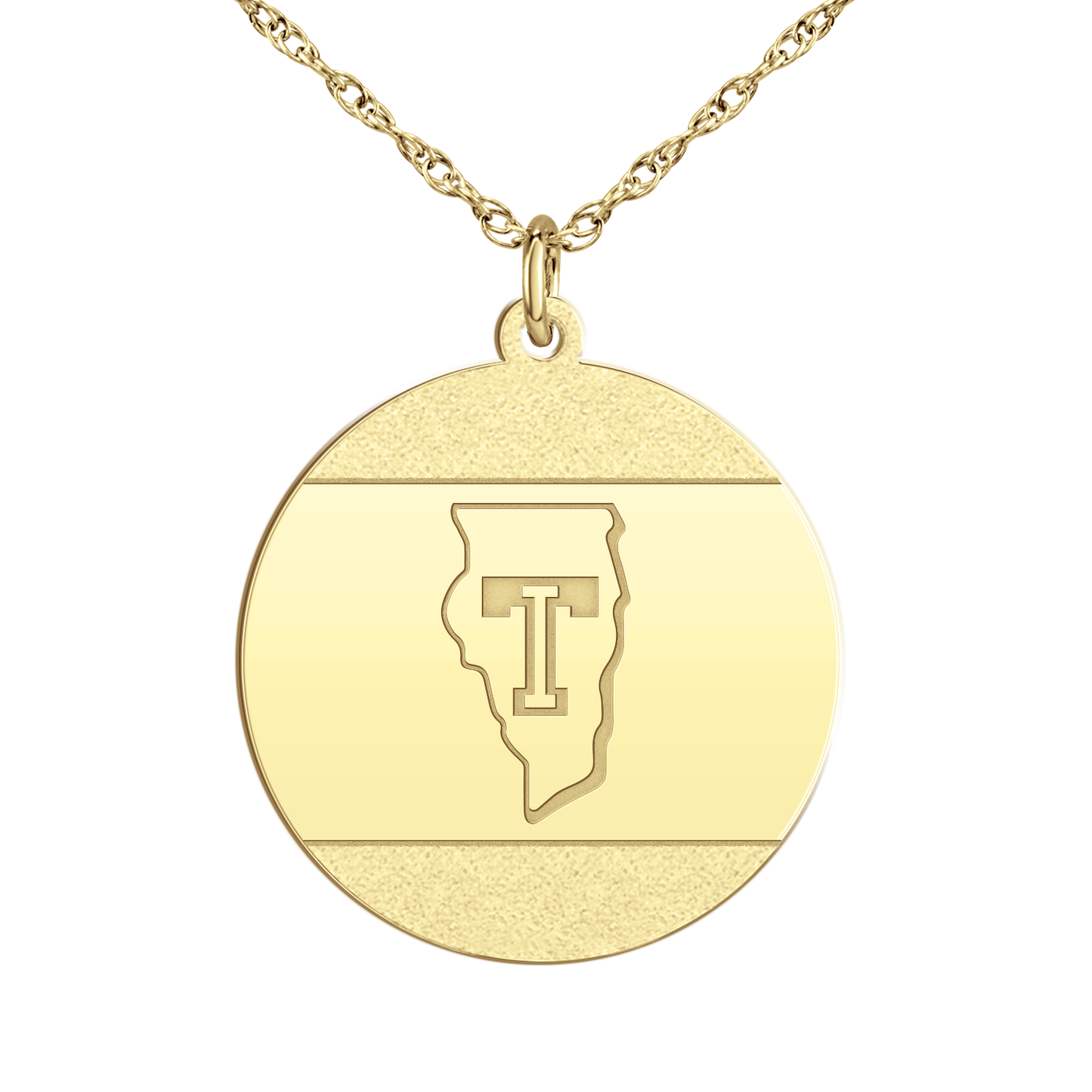 Team Illinois Iced Disc