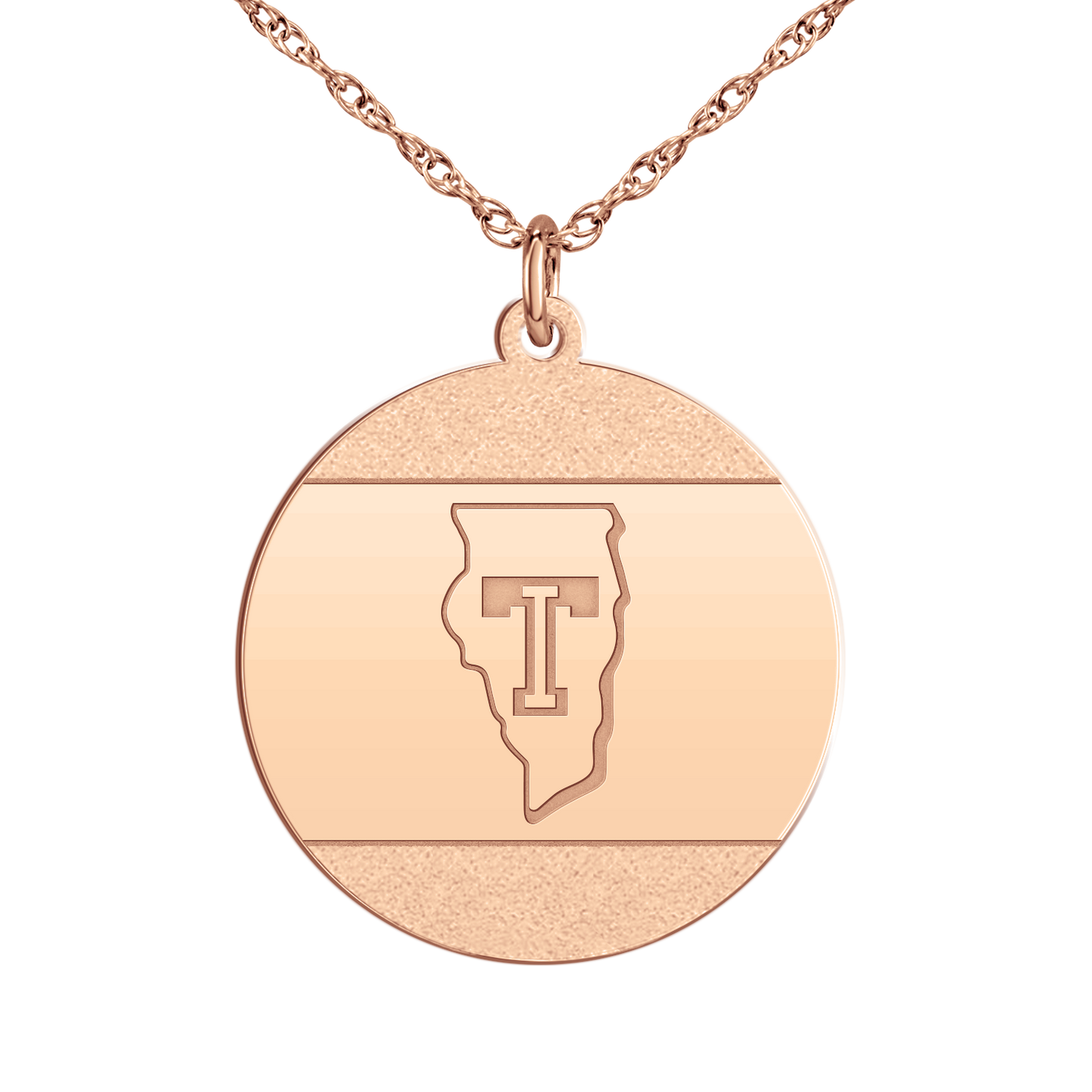 Team Illinois Iced Disc