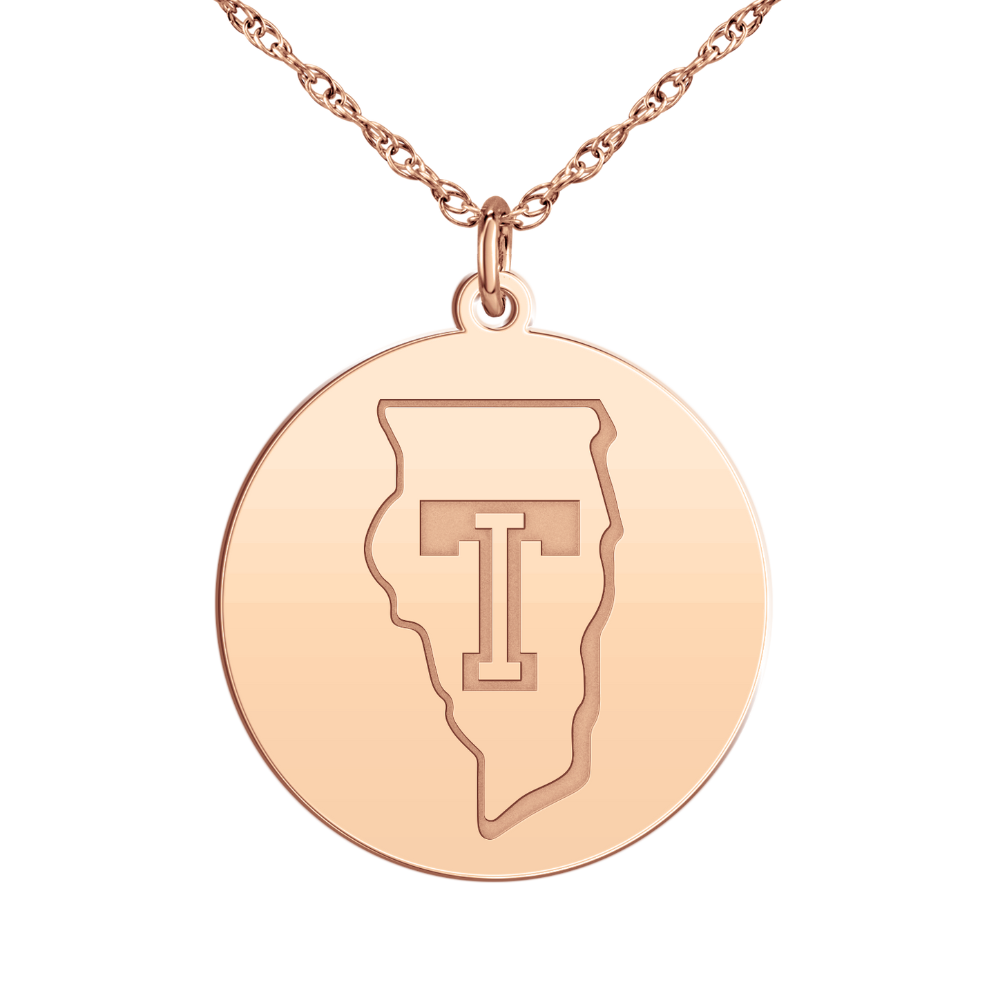 Team Illinois Logo Disc Large