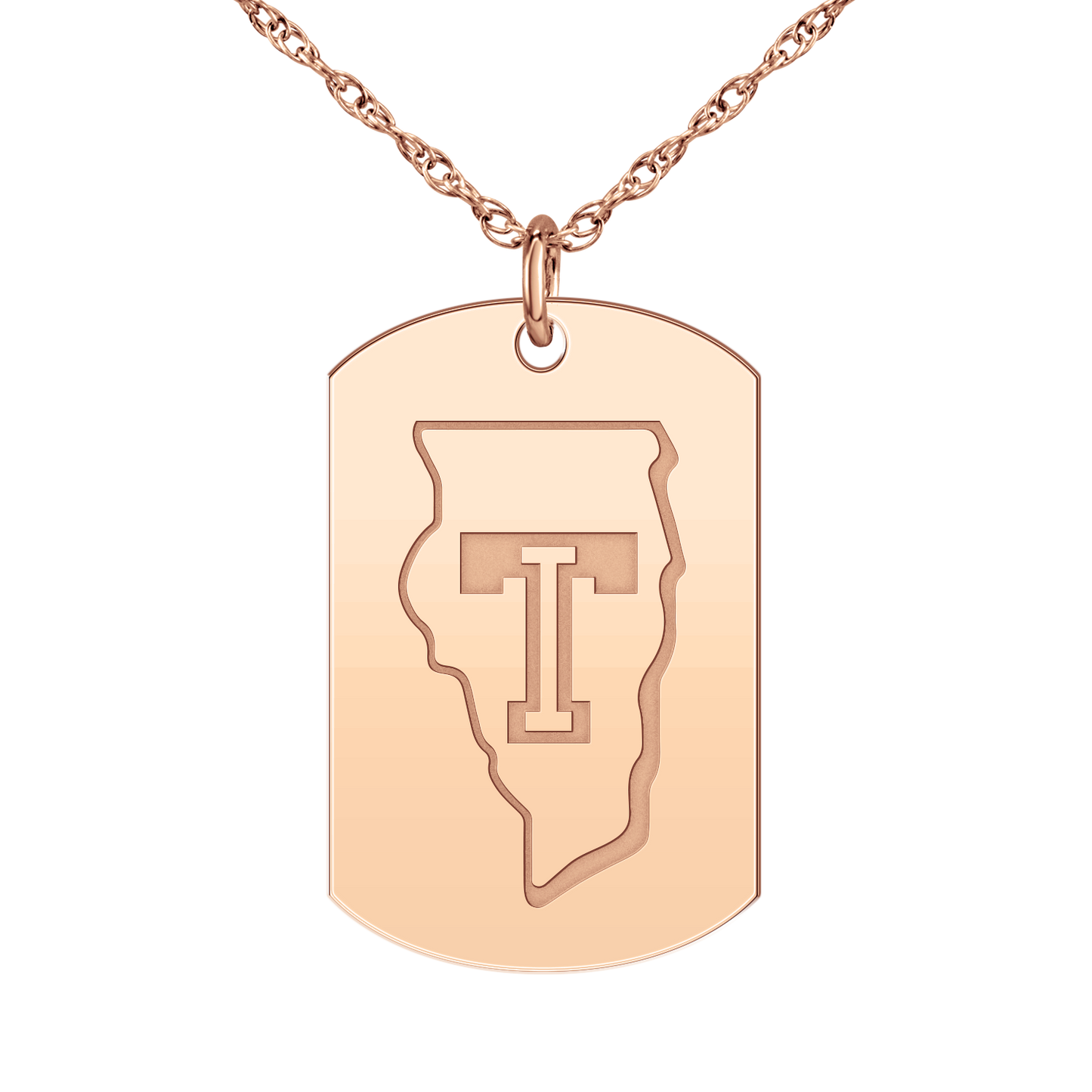 Team Illinois Logo Tag Large