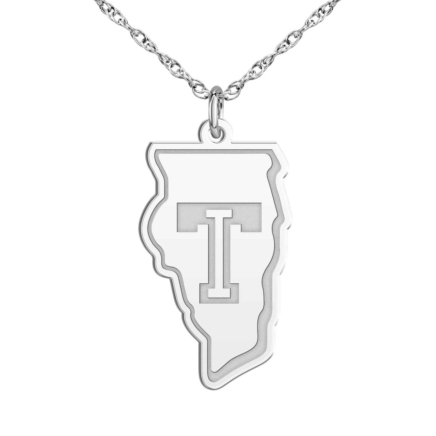 Team Illinois Signature Logo