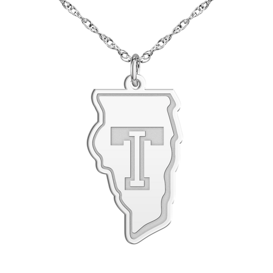 Team Illinois Signature Logo