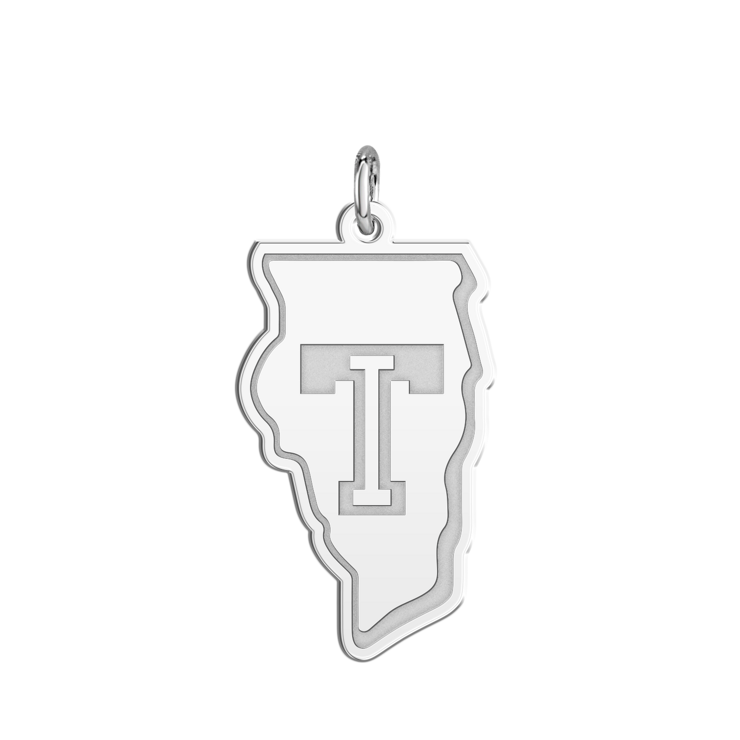 Team Illinois Signature Logo