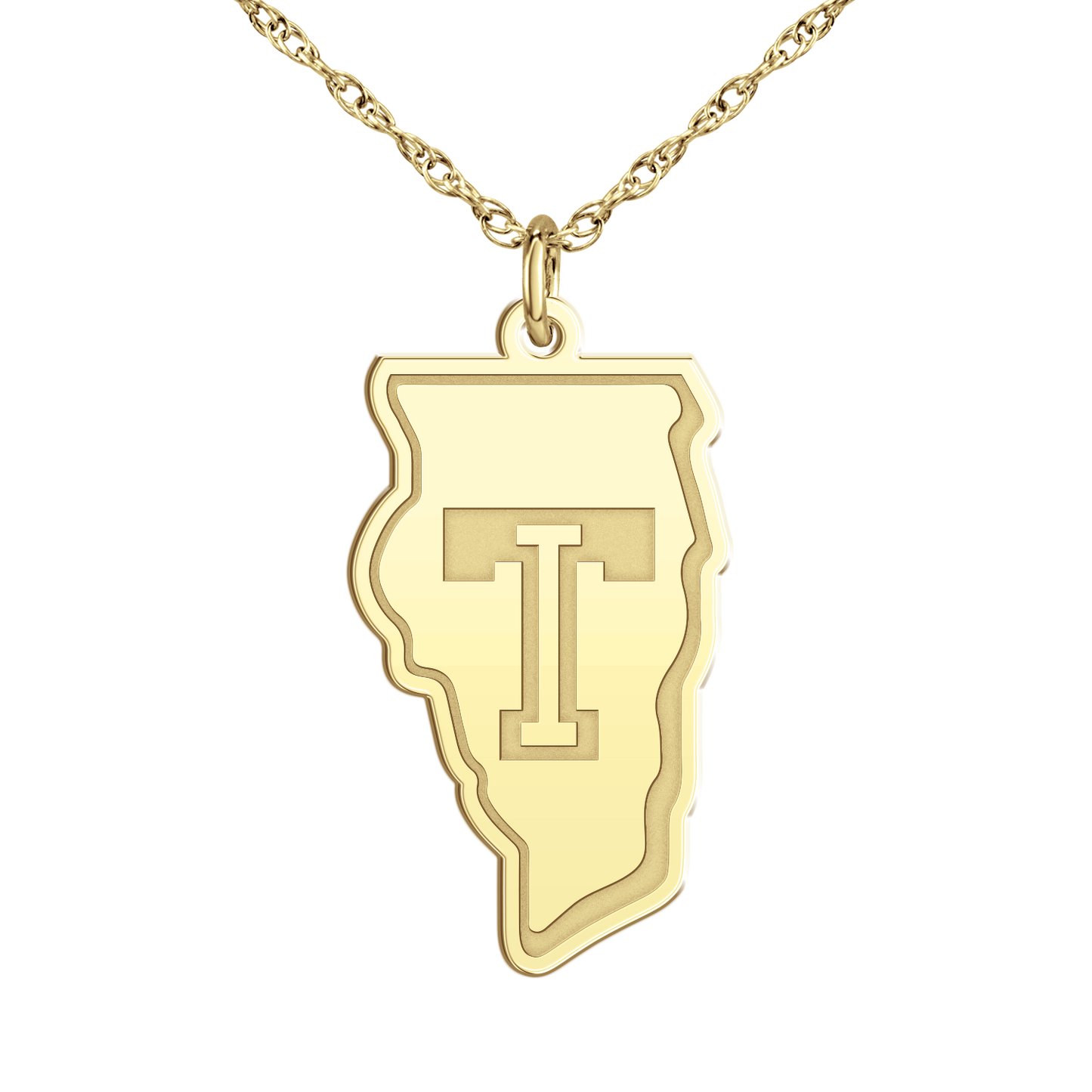 Team Illinois Signature Logo