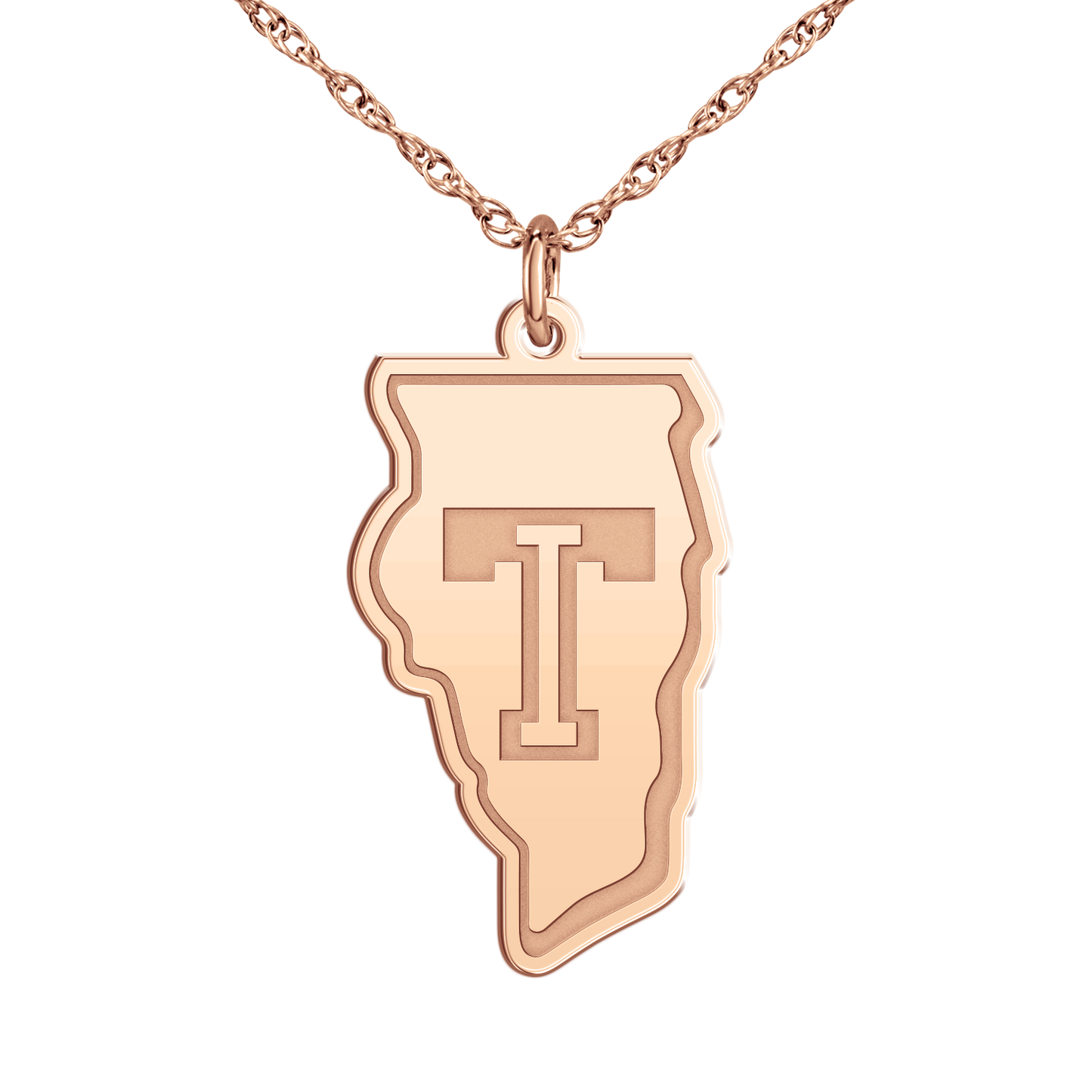 Team Illinois Signature Logo